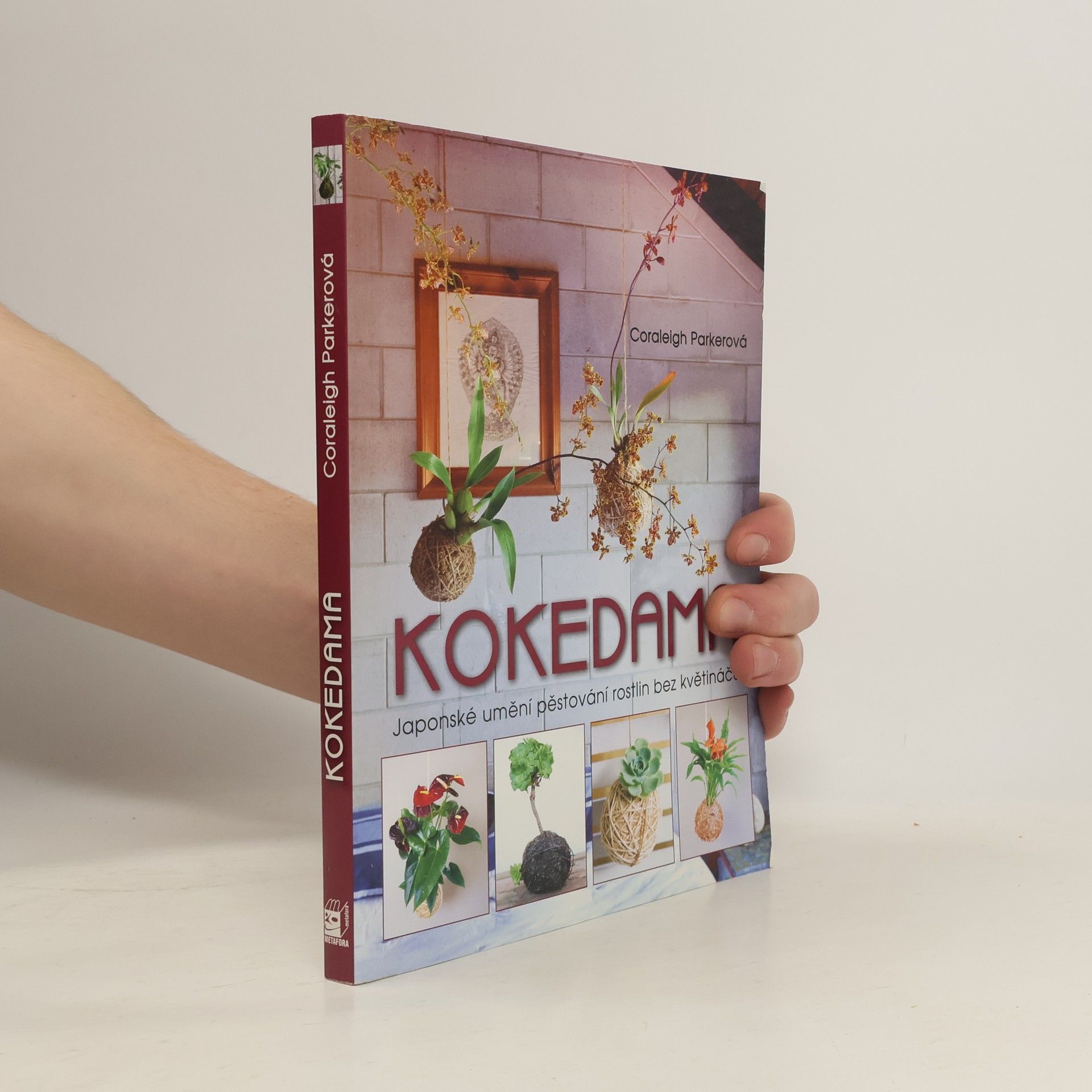 Coraleigh Parker Kokedama - Japonské umění pěstování rostlin bez květináčů