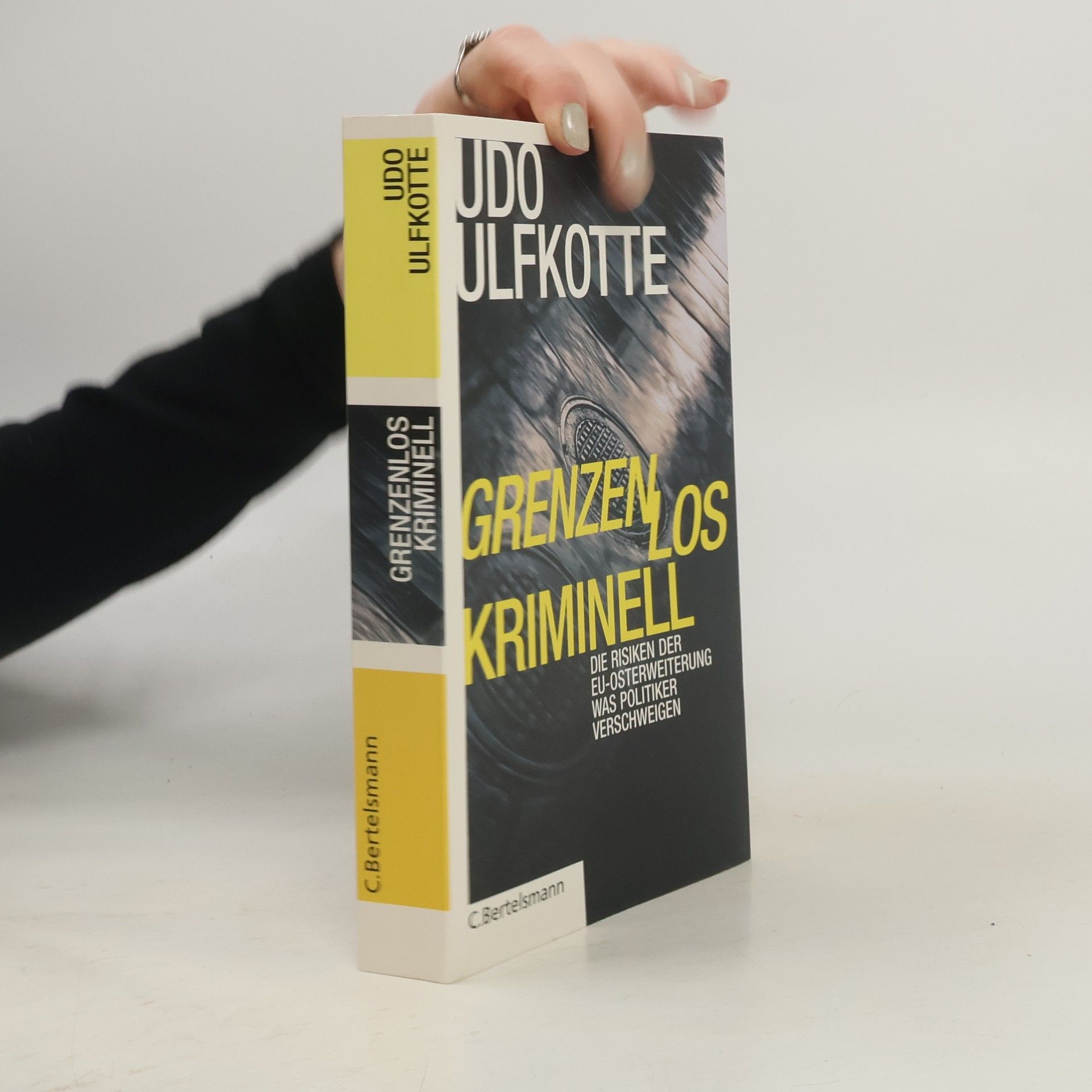 Udo Ulfkotte Grenzenlos kriminell