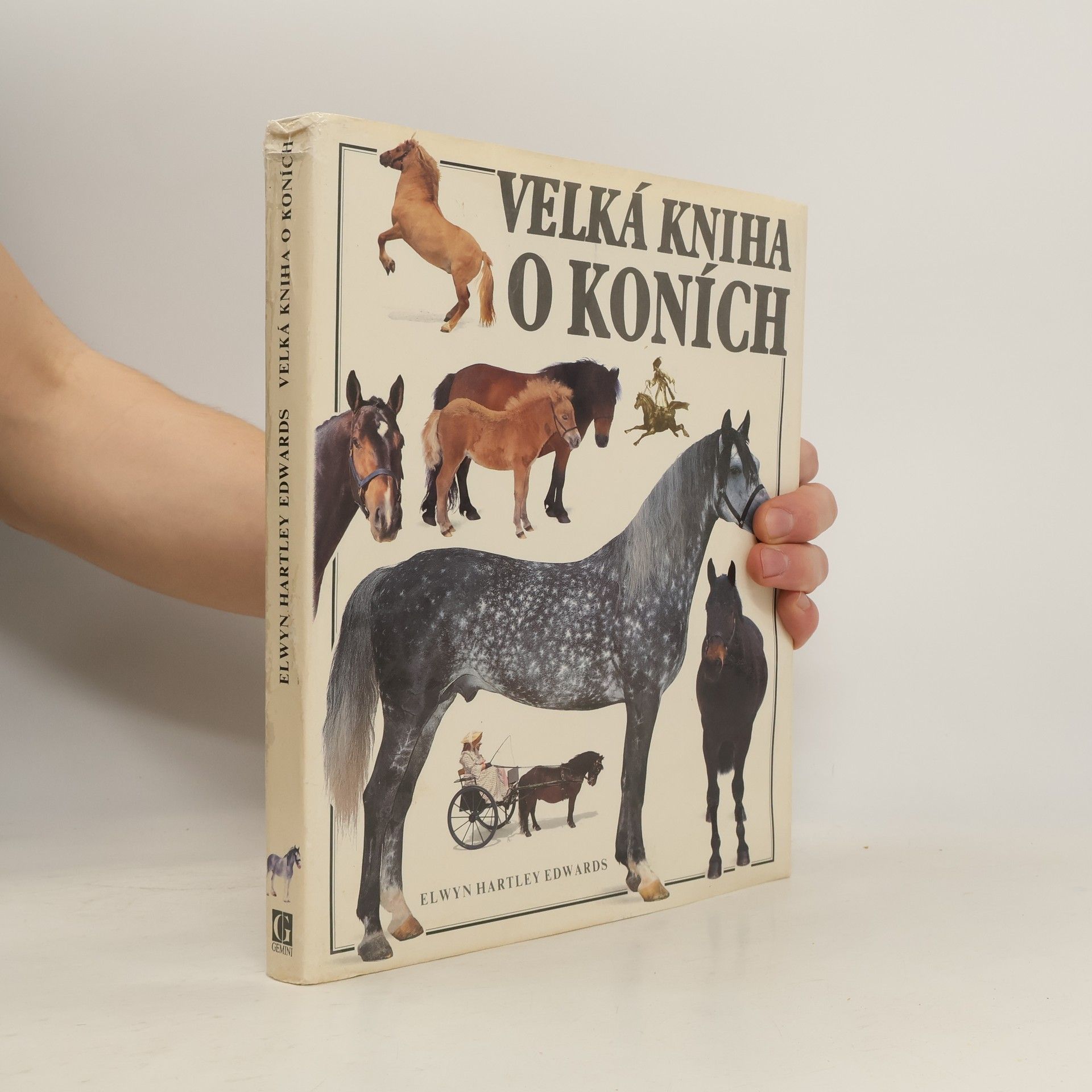 Elwyn Hartley Edwards Velká kniha o koních