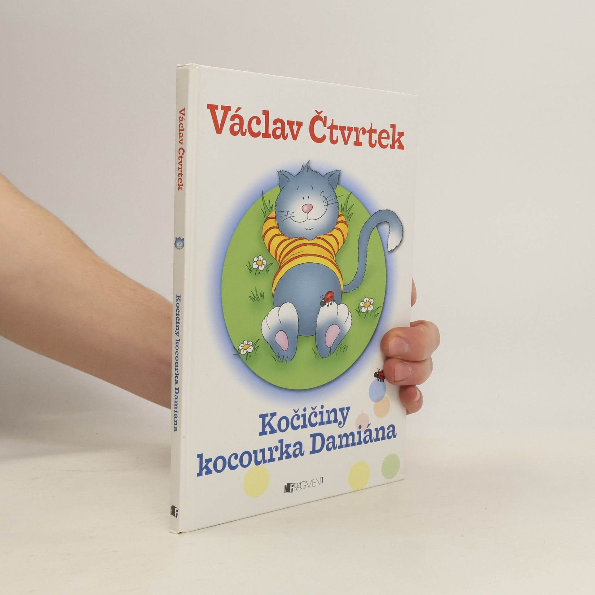 Kočičiny kocourka Damiána