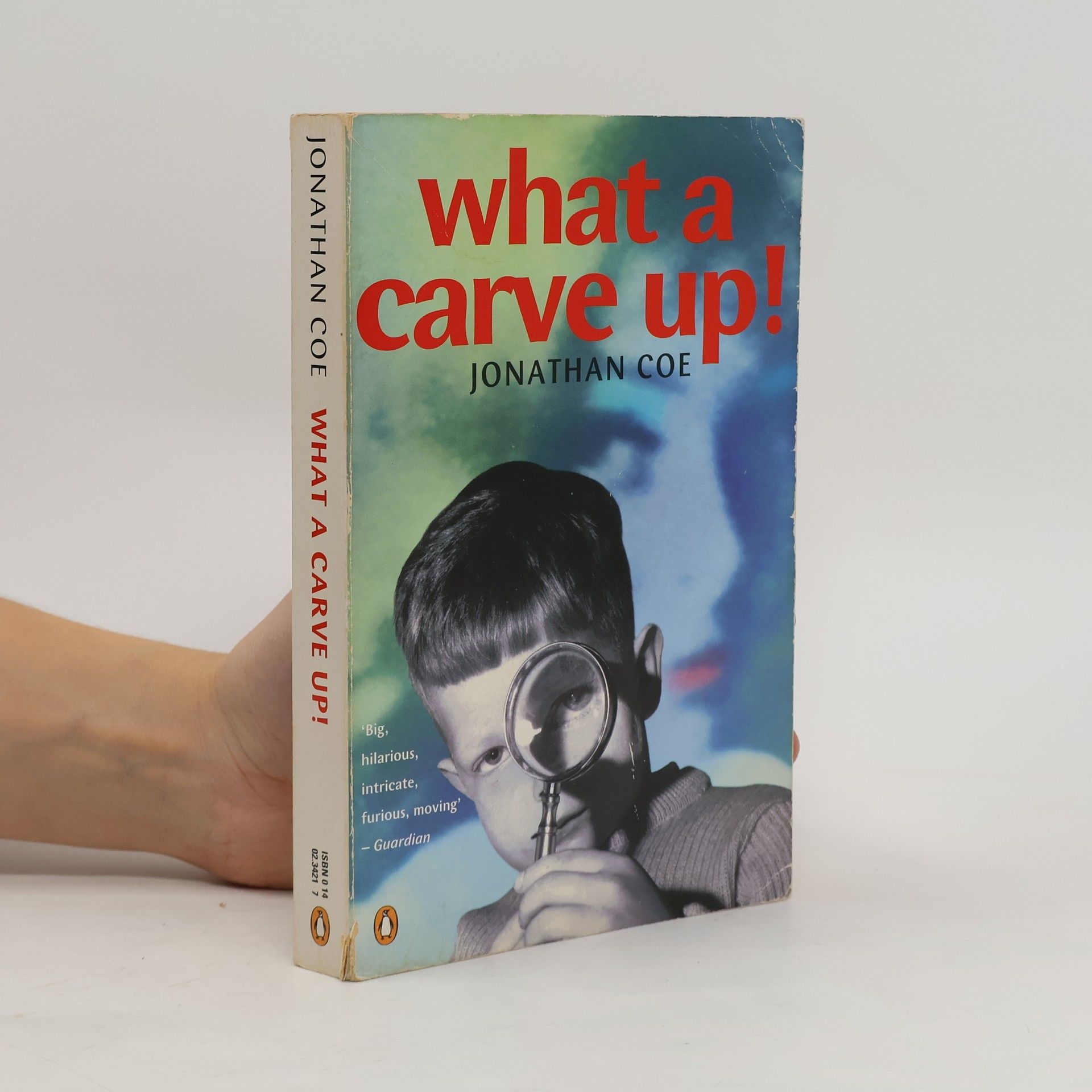 Jonathan Coe What a carve up!