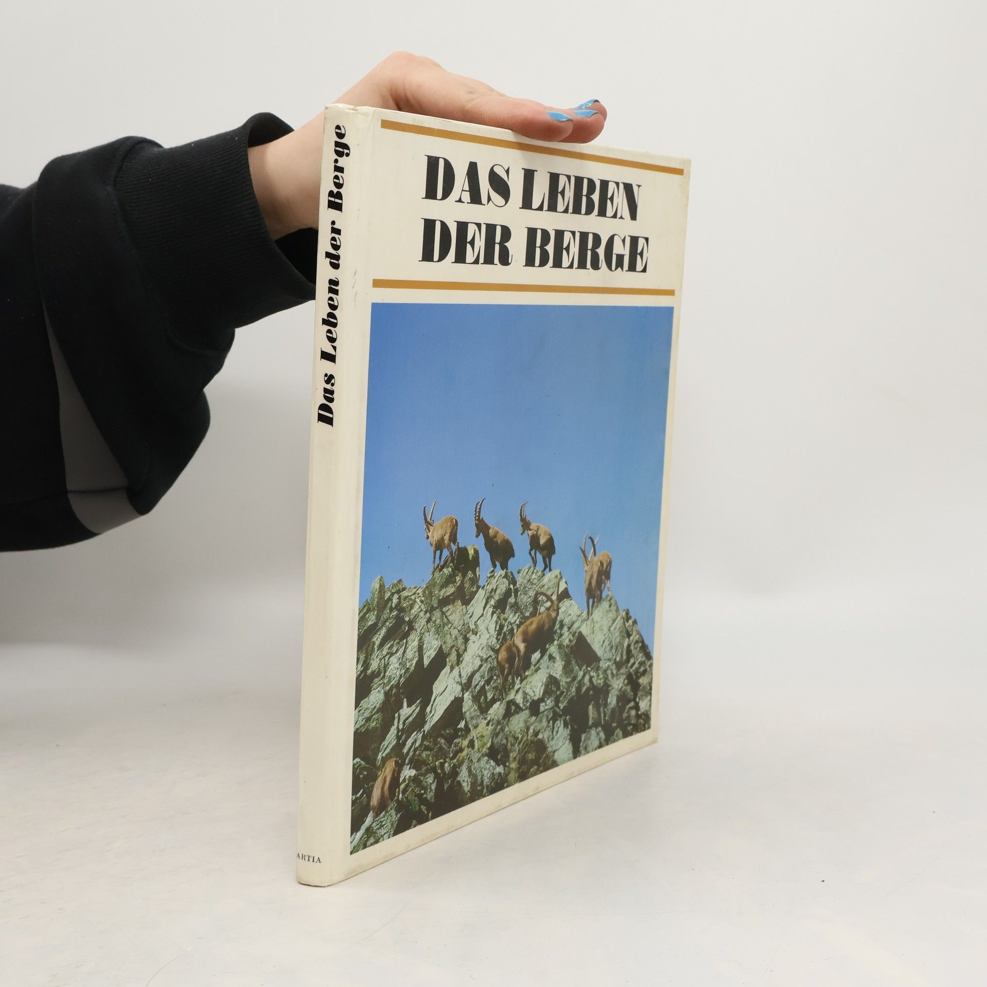 Jan Jeník Das Leben der Berge