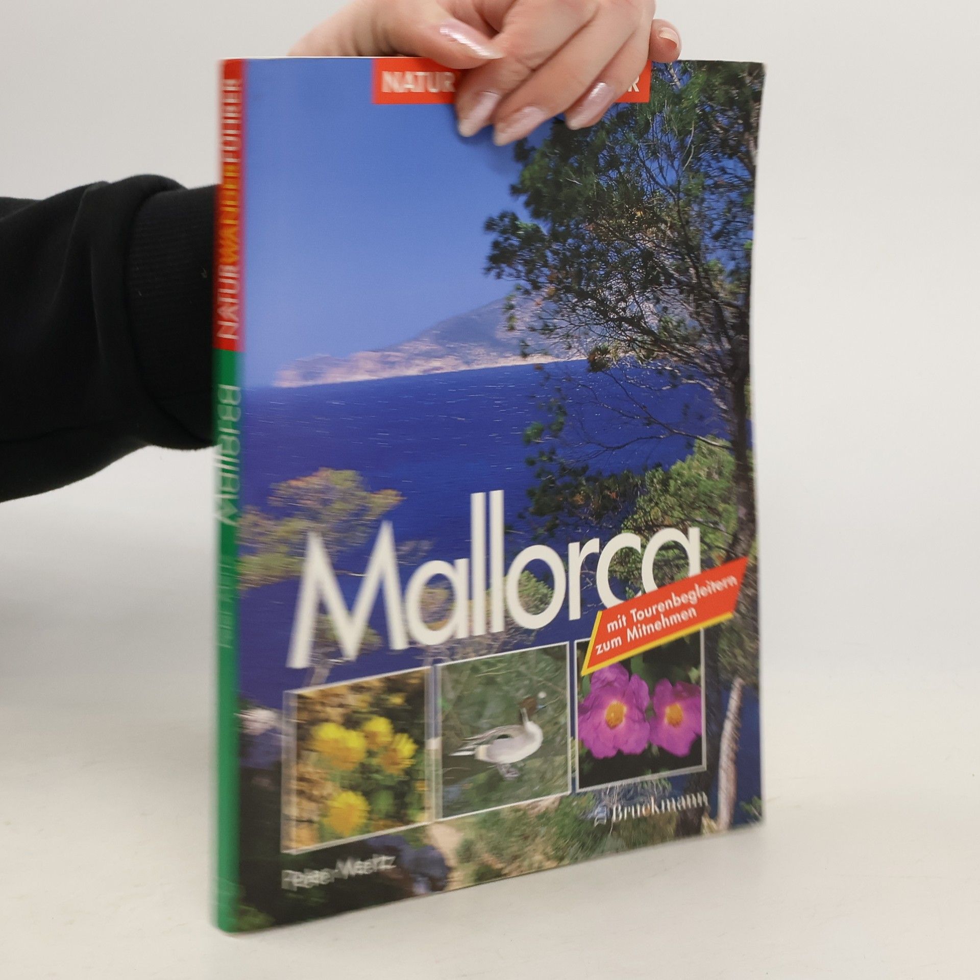 Peter Mertz Mallorca