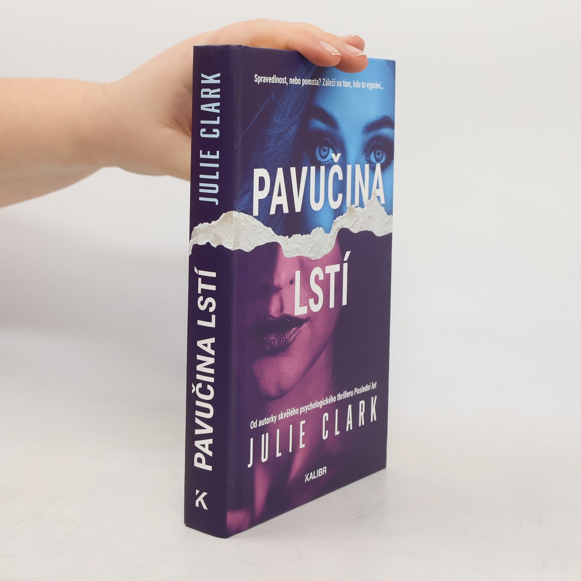 Julie Clark Pavučina lstí