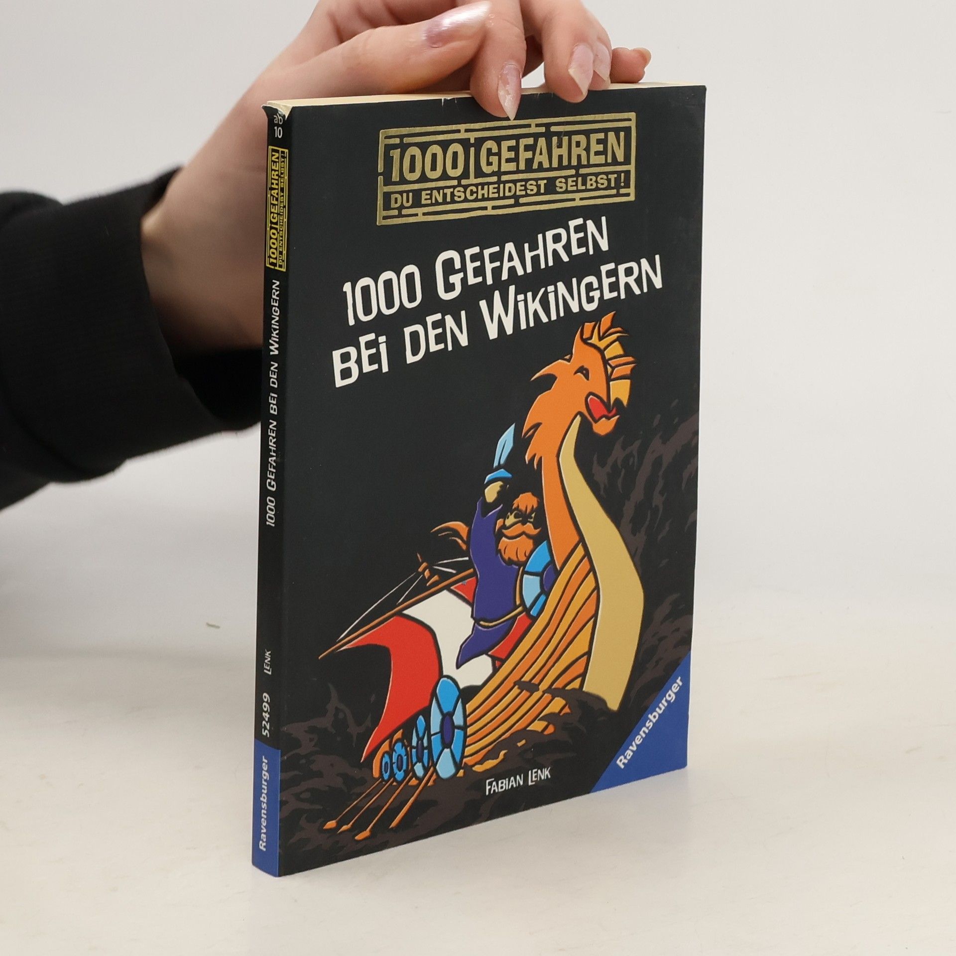 Fabian Lenk 1000 Gefahren bei den Wikingern