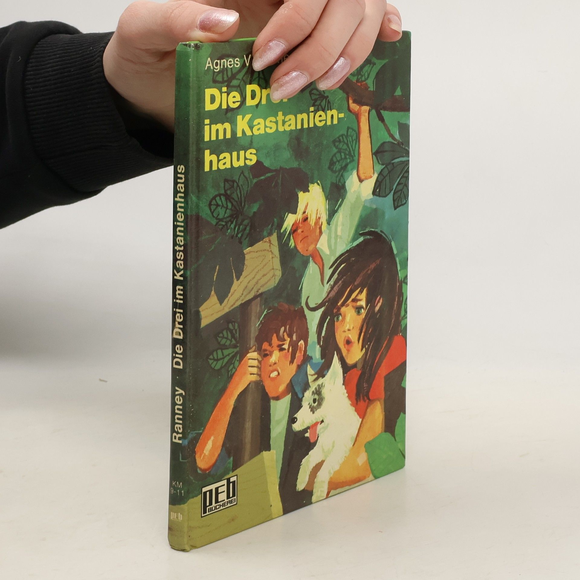 Die Drei im Kastanienhaus