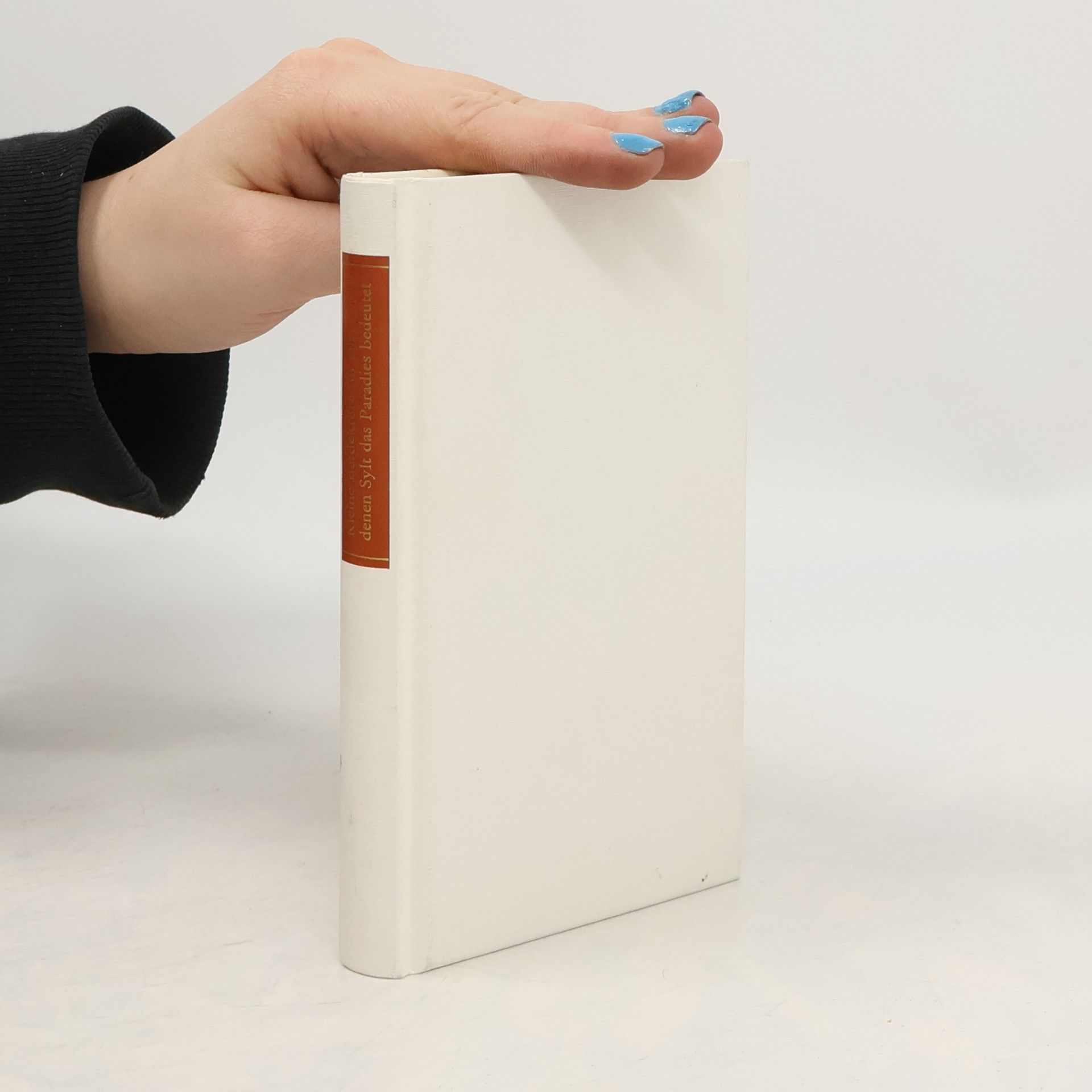 Collectif d'auteurs Kleine Bettlektüre für alle, denen Sylt das Paradies bedeutet