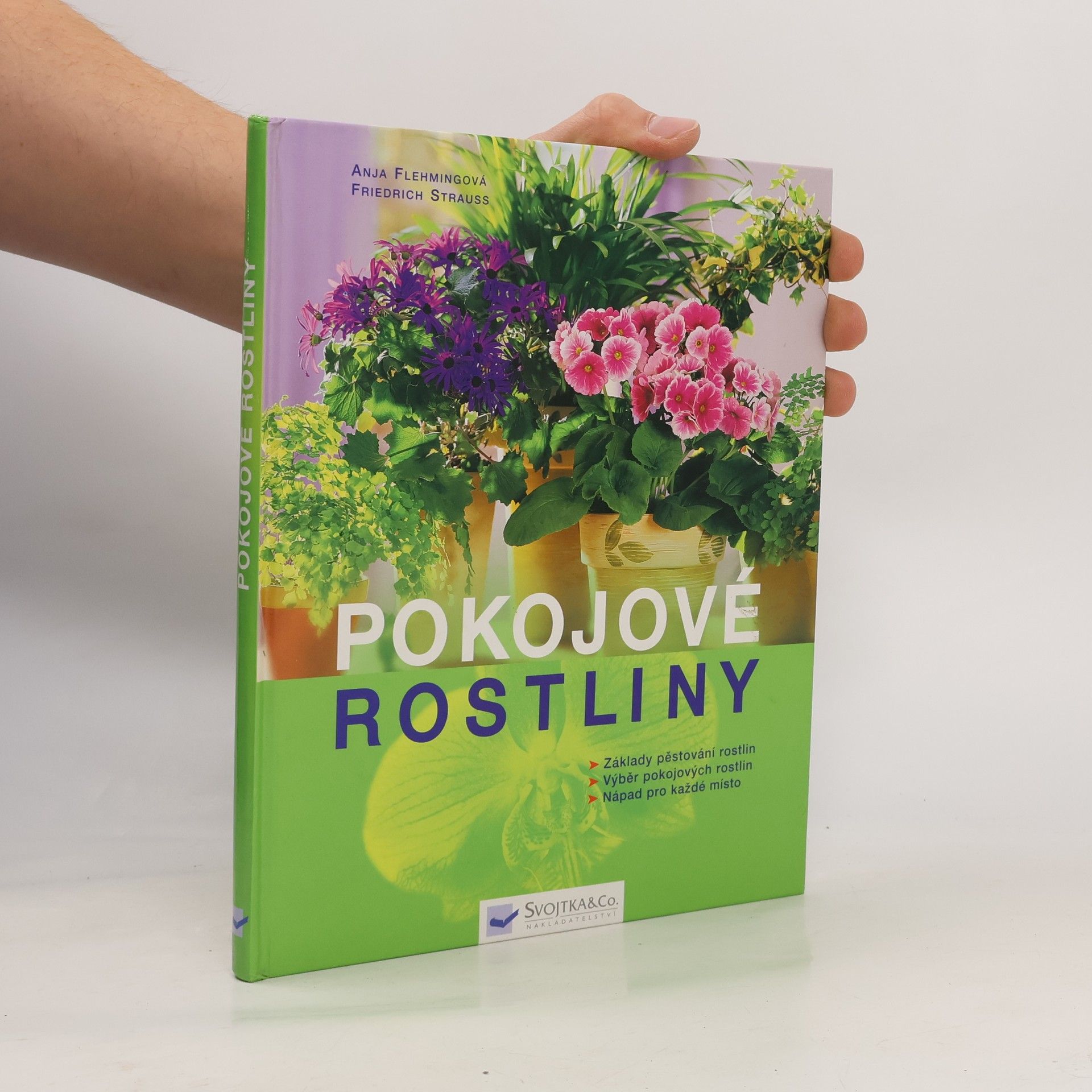 Anja Flehmig Pokojové rostliny