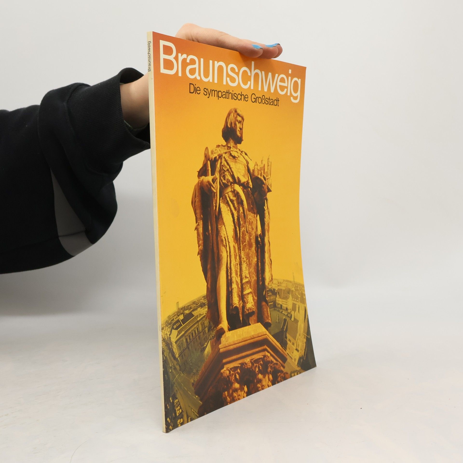 Kolektív autorov Braunschweig