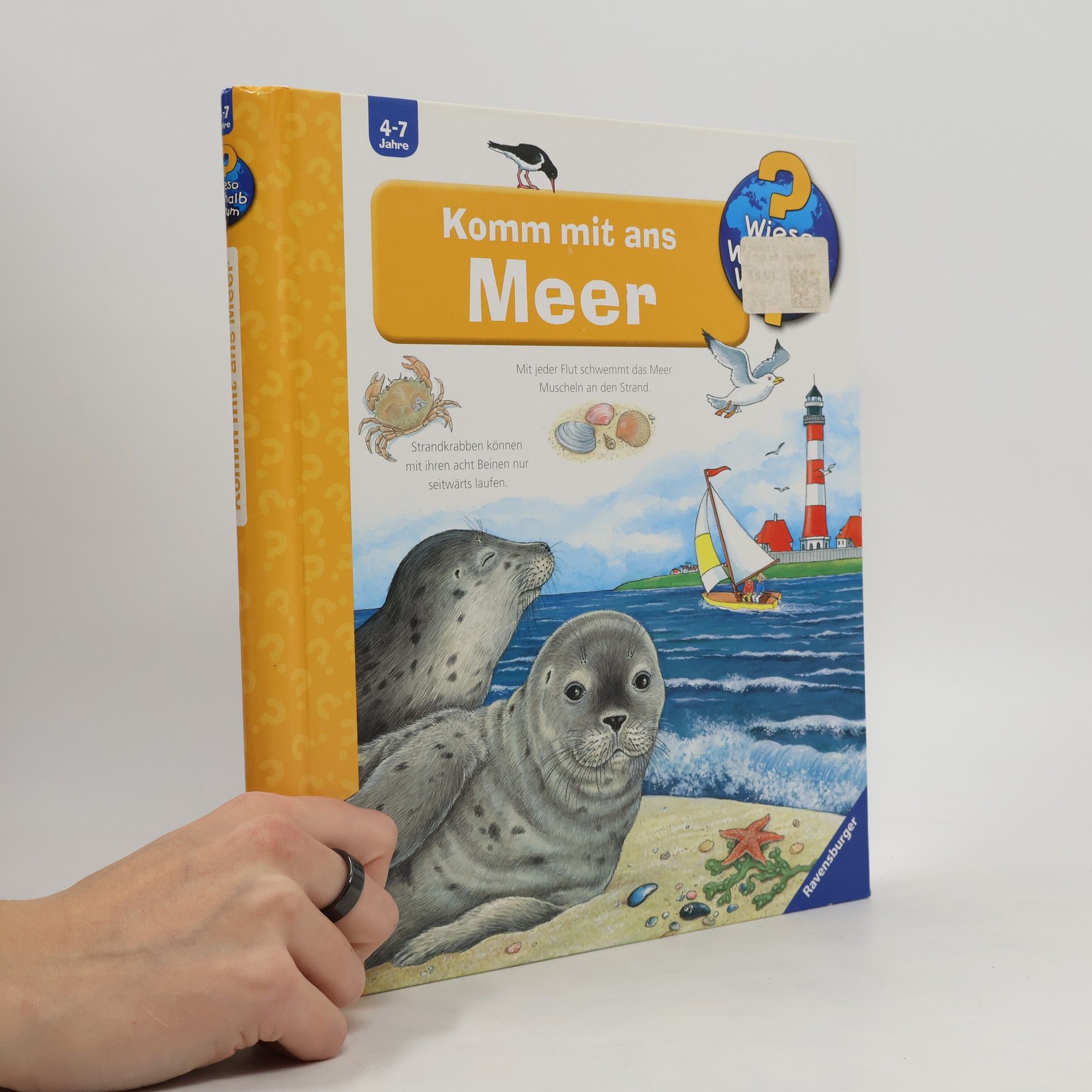 Angela Weinhold Komm mit ans Meer