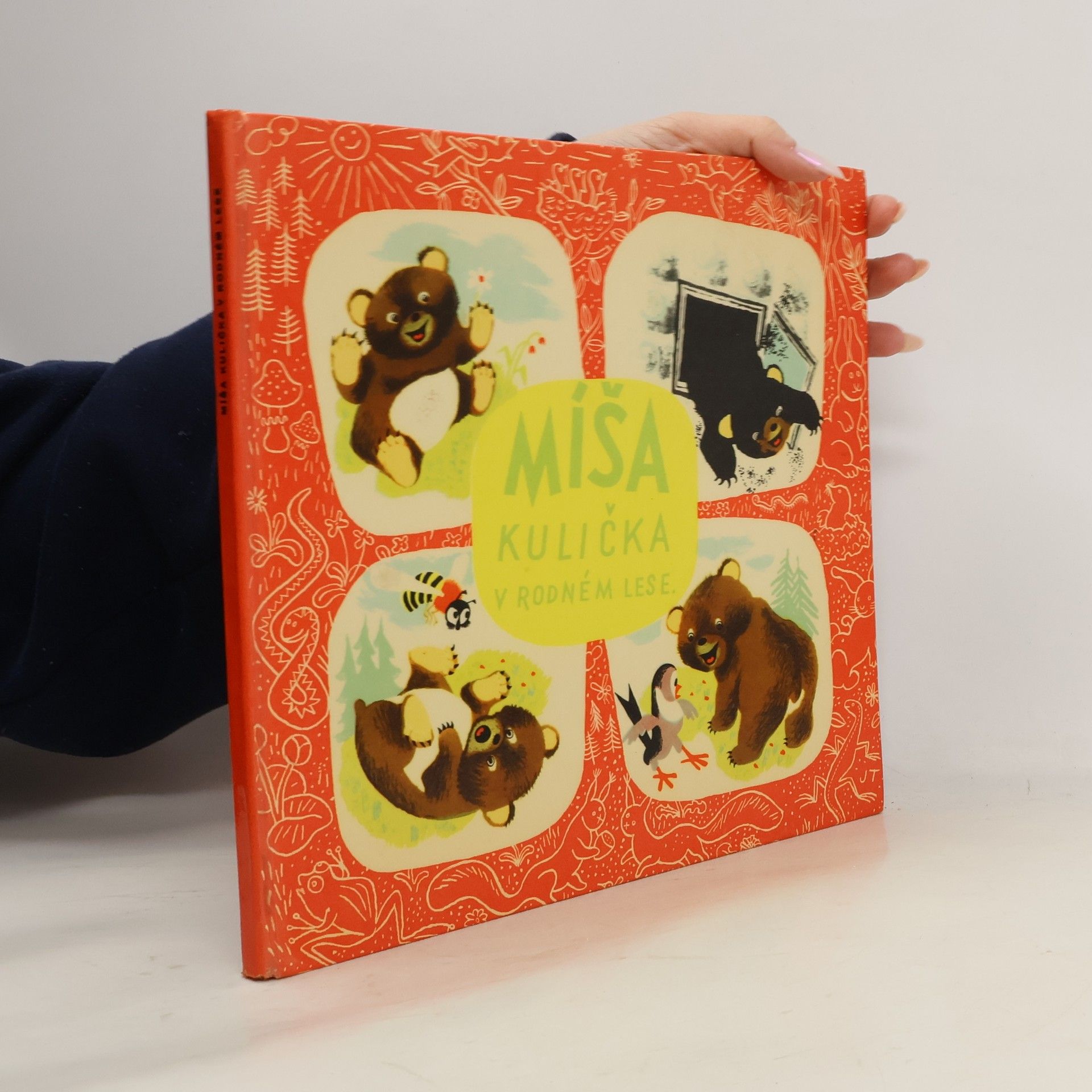 Jan Vik Míša kulička v rodném lese