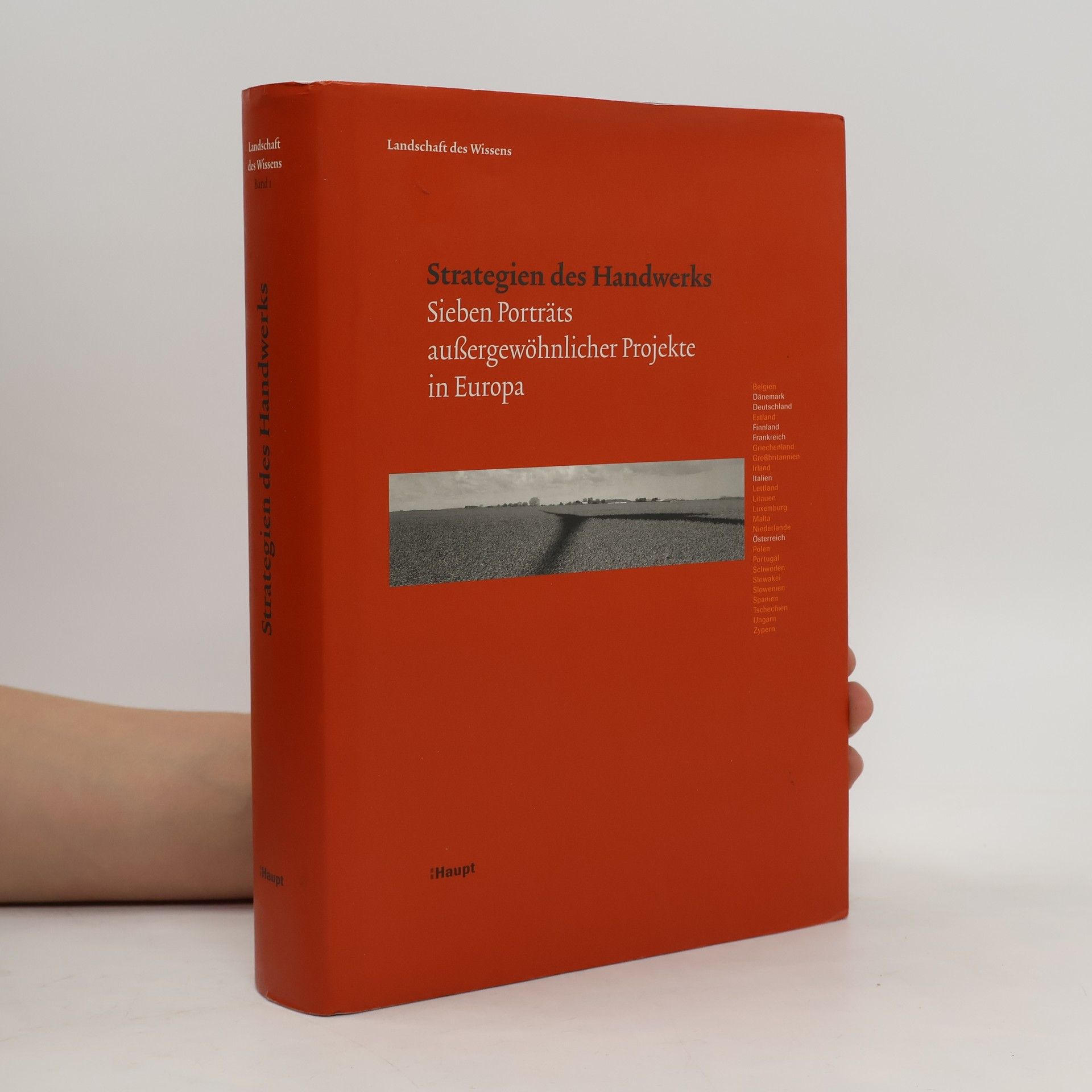 Various authors Strategien des Handwerks