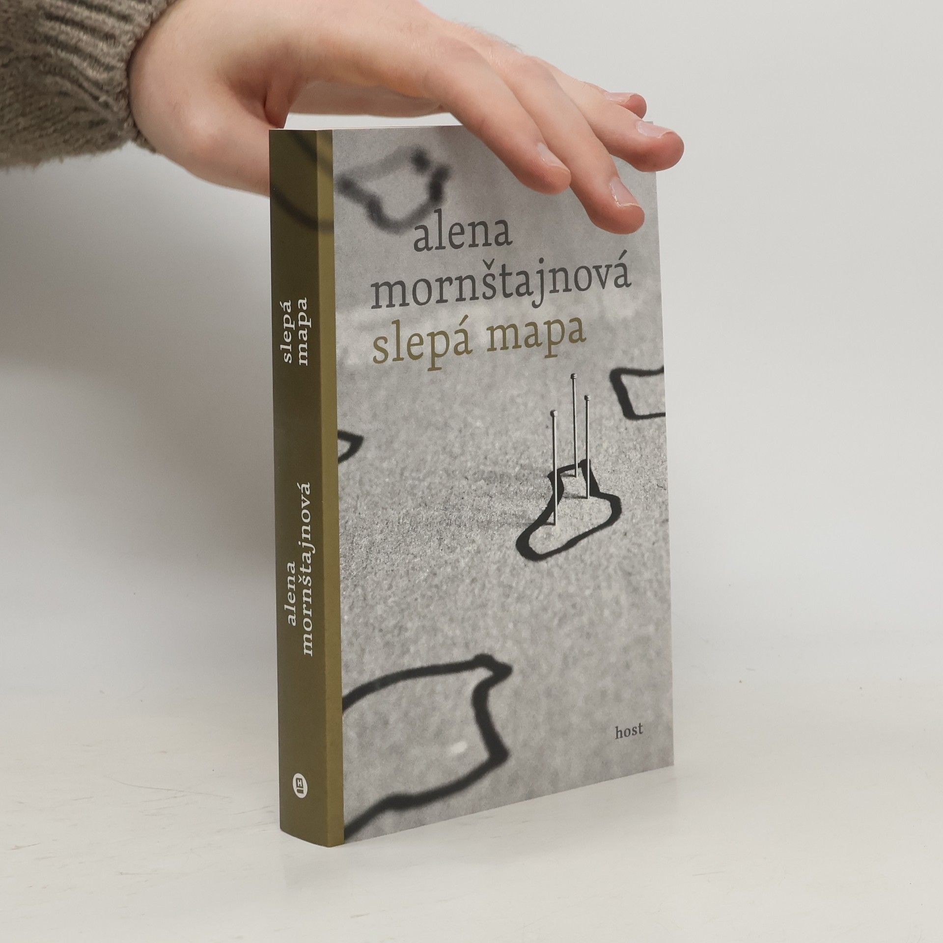 Alena Mornštajnová Slepá mapa