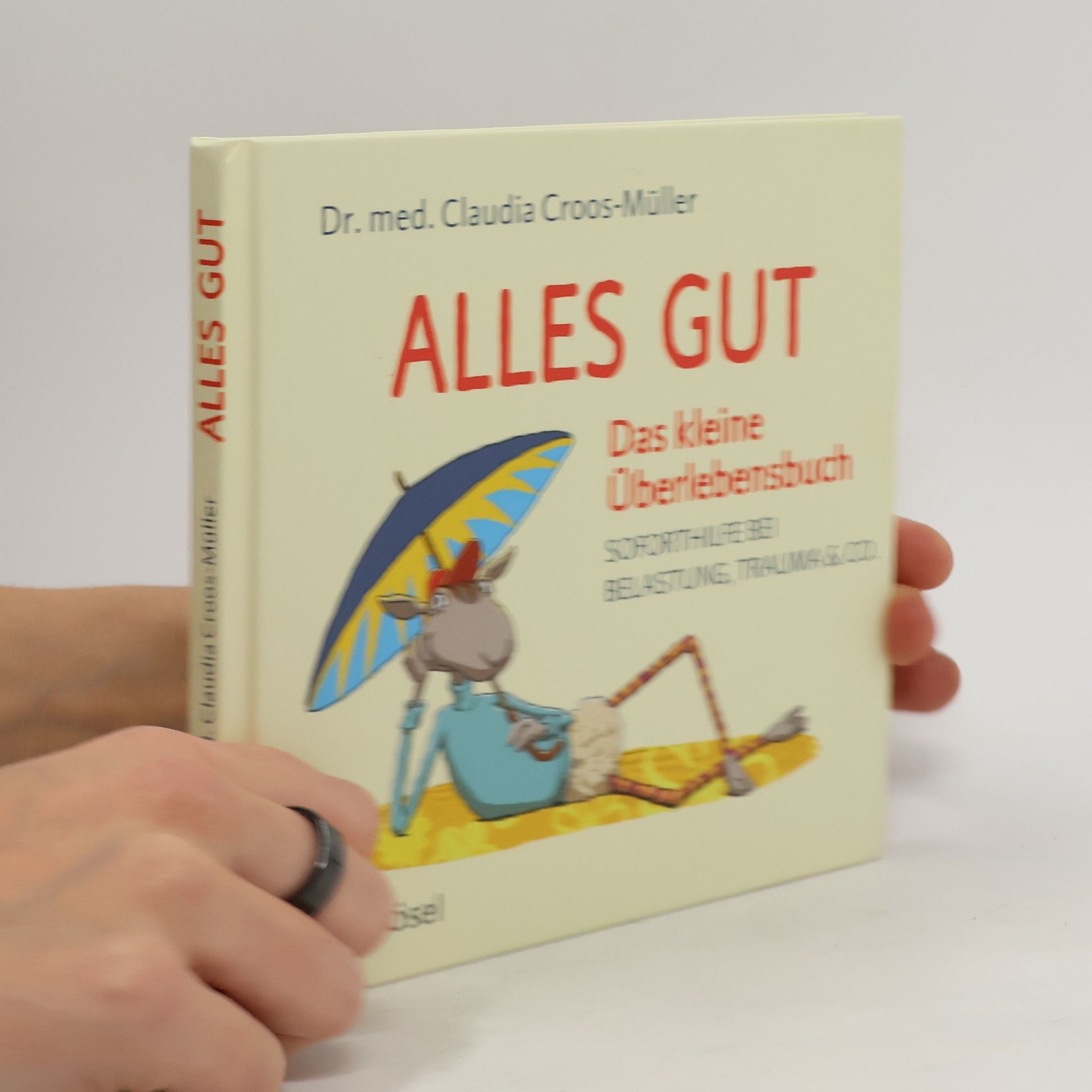 Claudia Croos-Müller Alles gut - das kleine Überlebensbuch