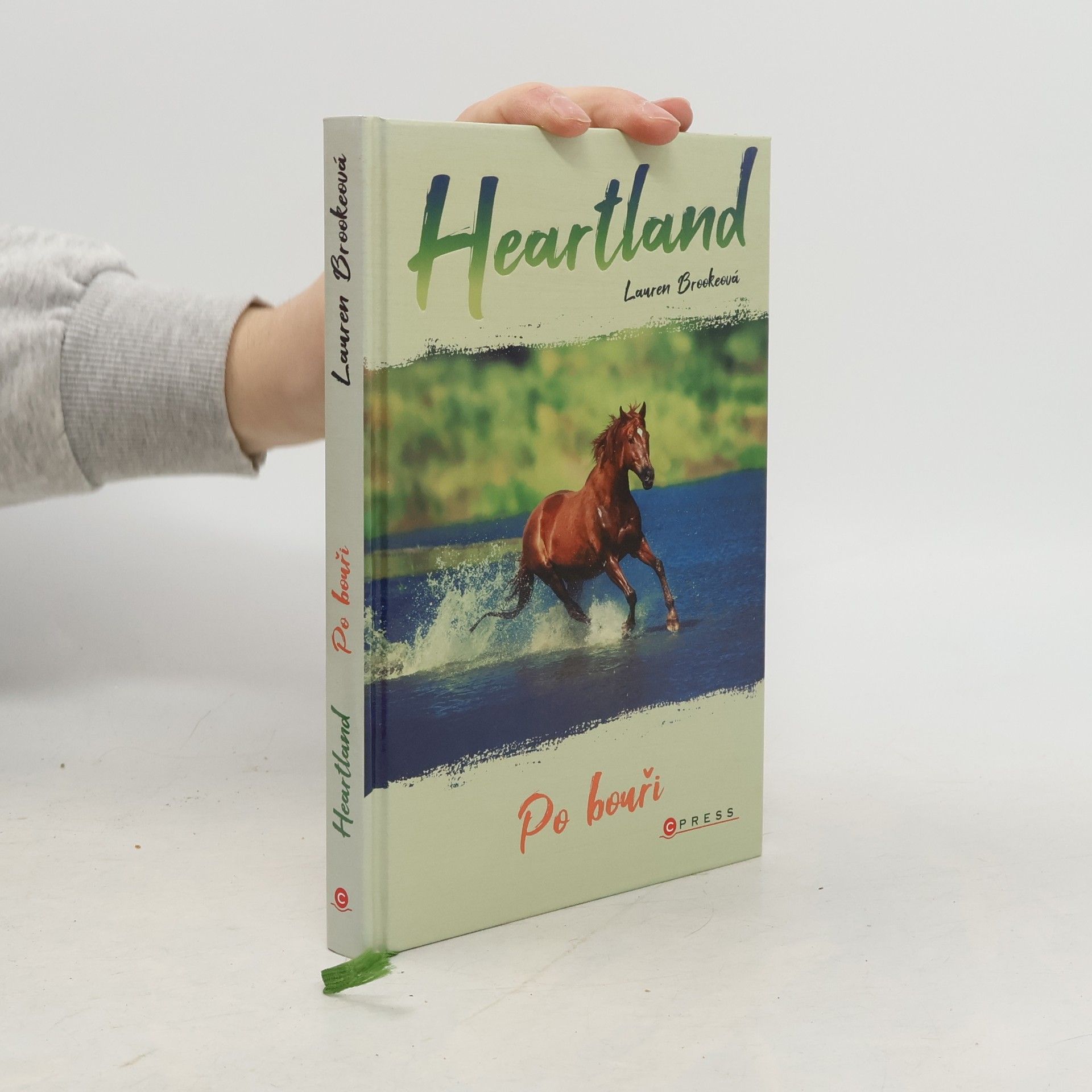 Lauren Brooke Po bouři