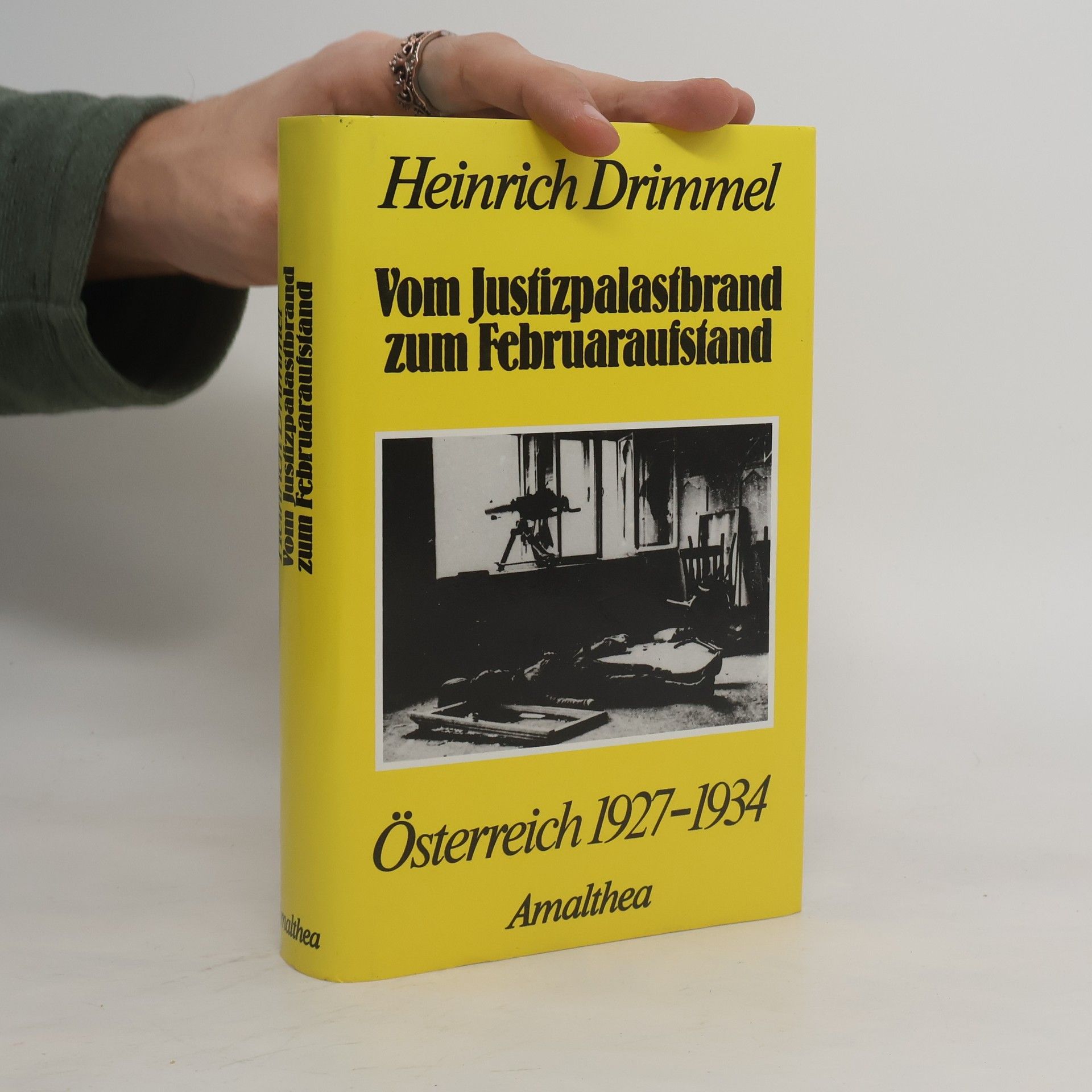 Vom Justizpalastbrand zum Februaraufstand