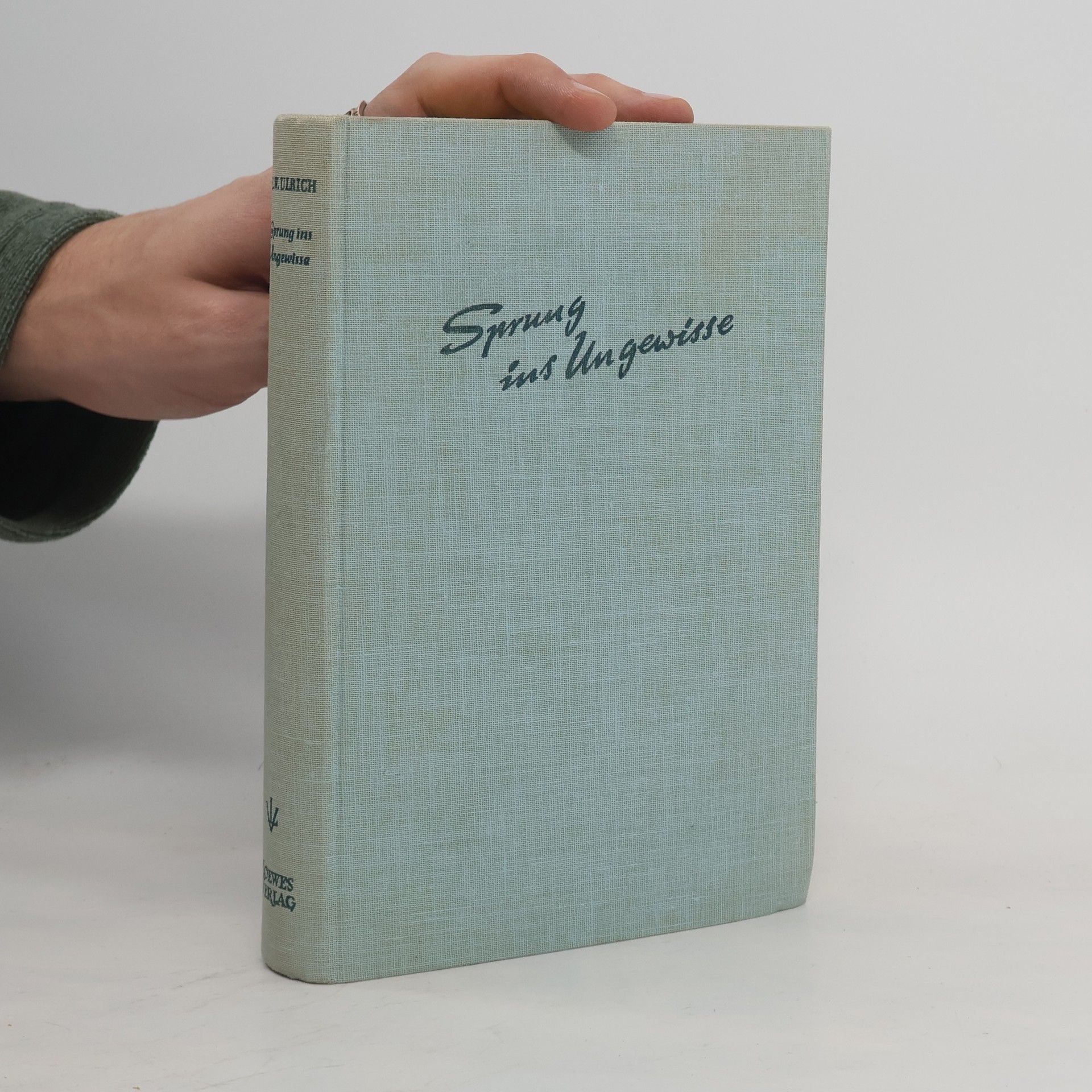 Hans W. Ulrich Sprung ins Ungewisse