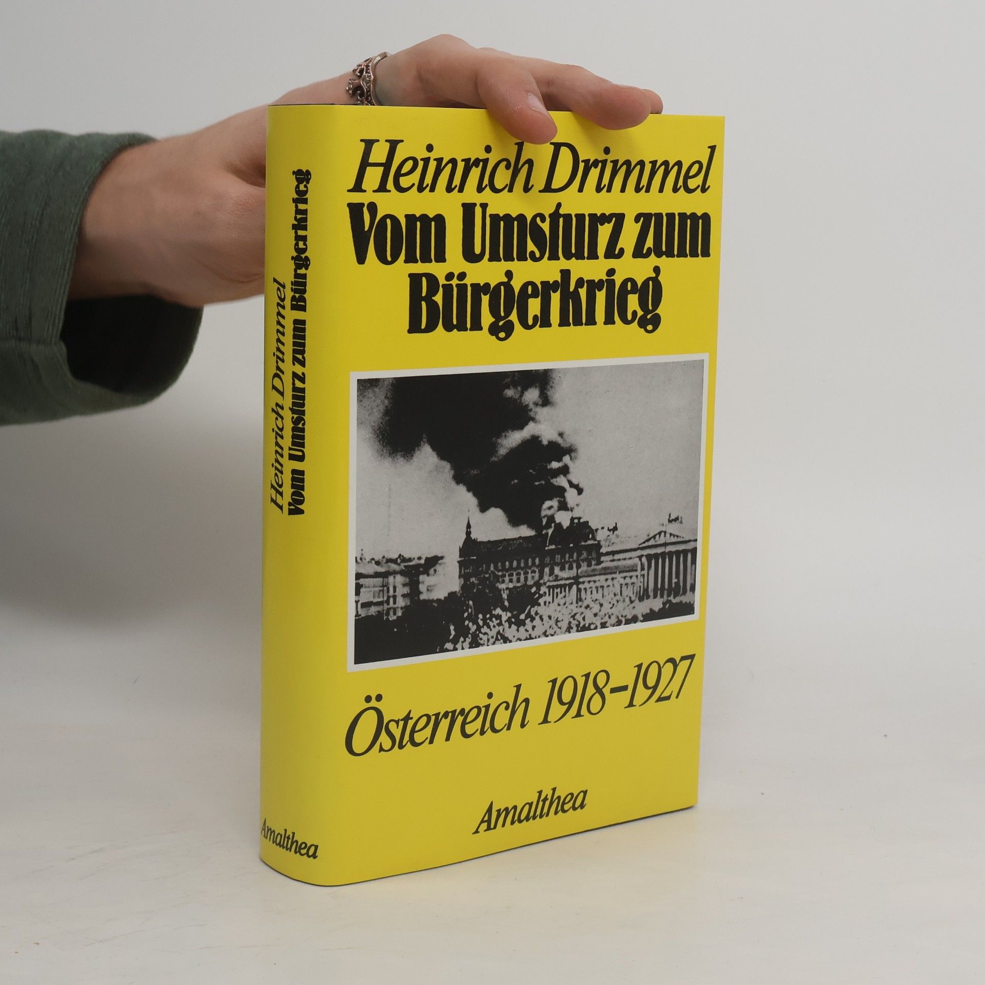 Vom Umsturz zum Bürgerkrieg