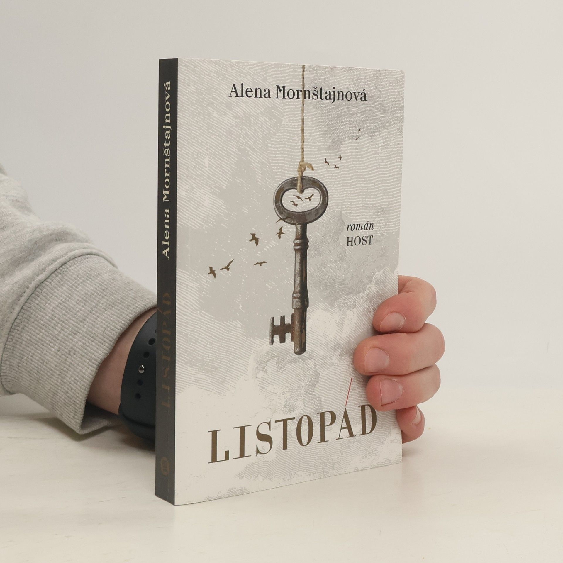 Alena Mornštajnová Listopád