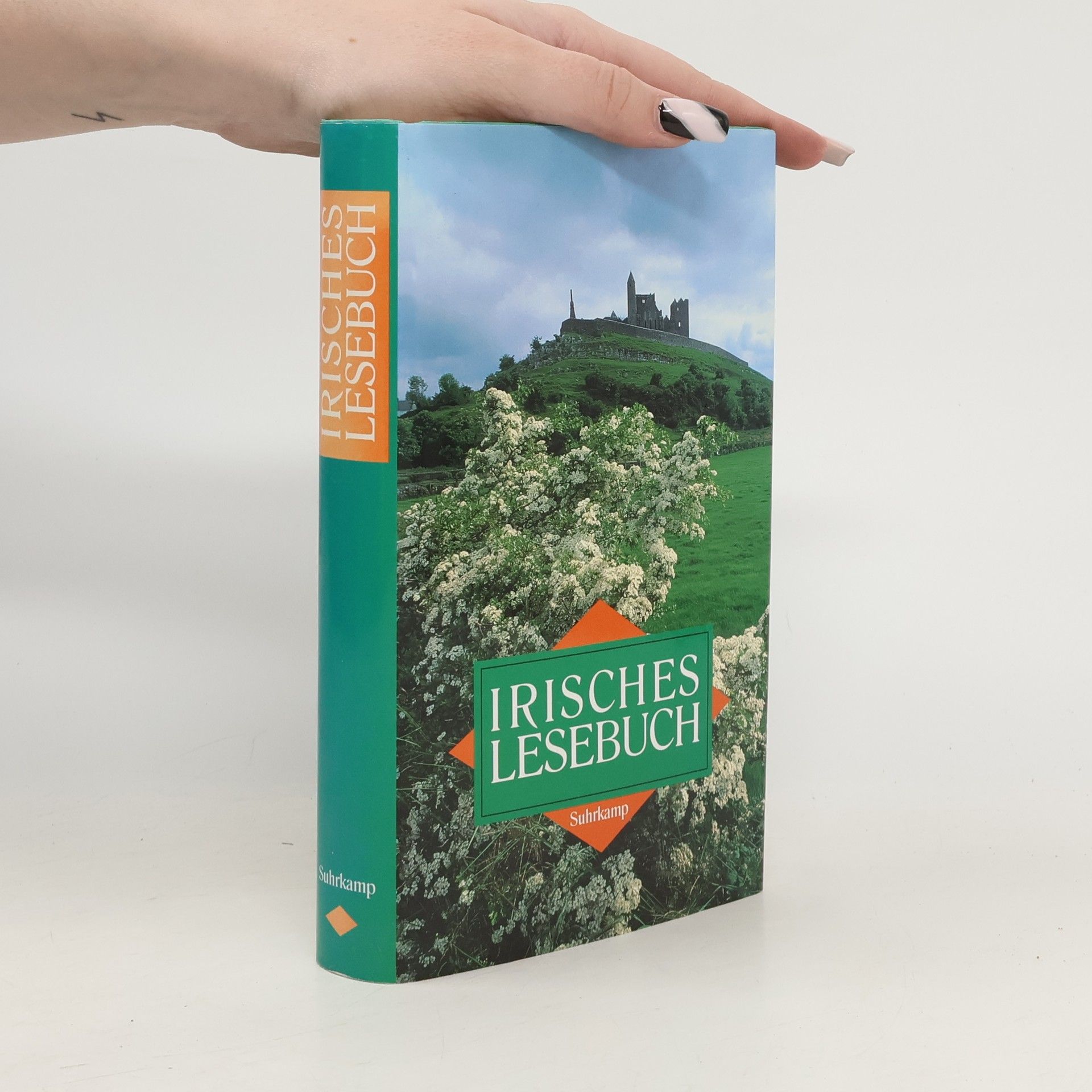 Gudrun Boch Irisches Lesebuch