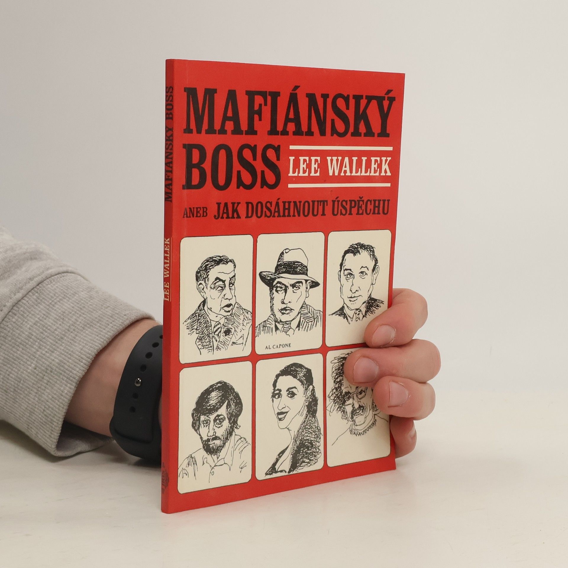 Mafiánský boss, aneb, Jak dosáhnout úspěchu