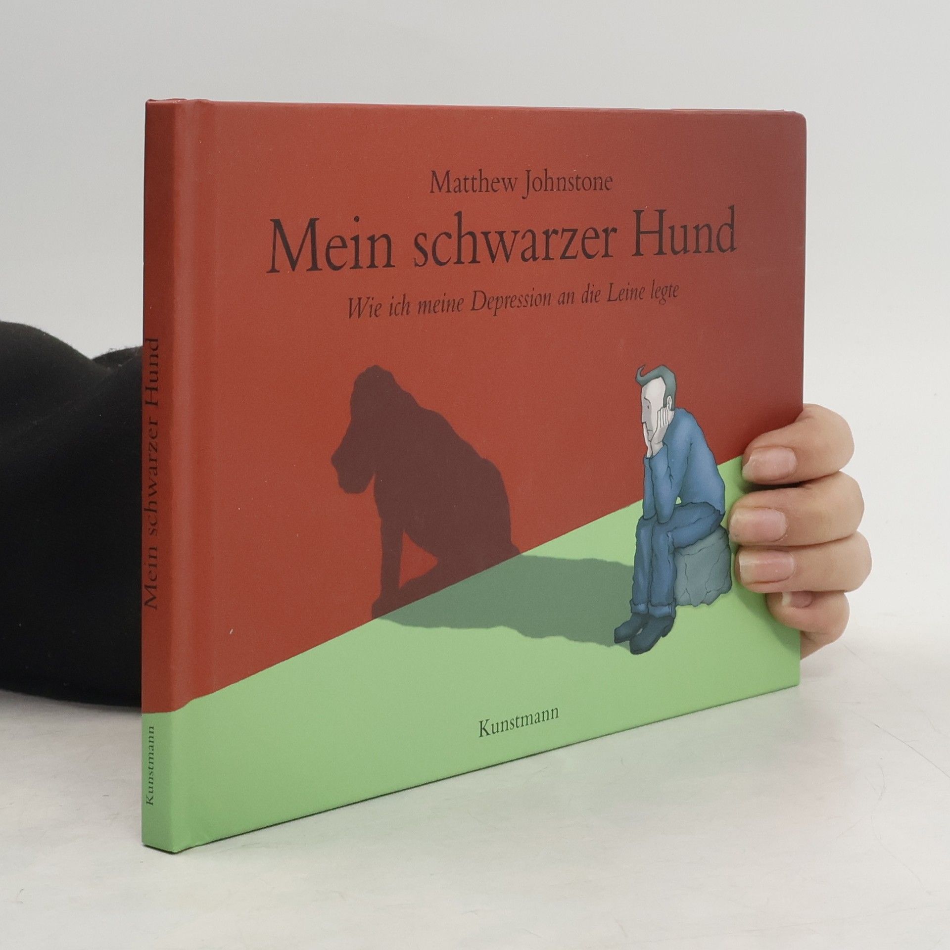 Matthew Johnstone Mein schwarzer Hund