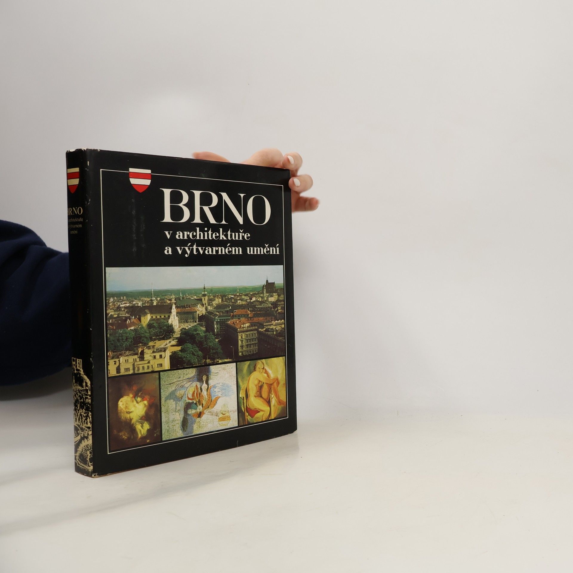 Autores varios Brno v architektuře a výtvarném umění
