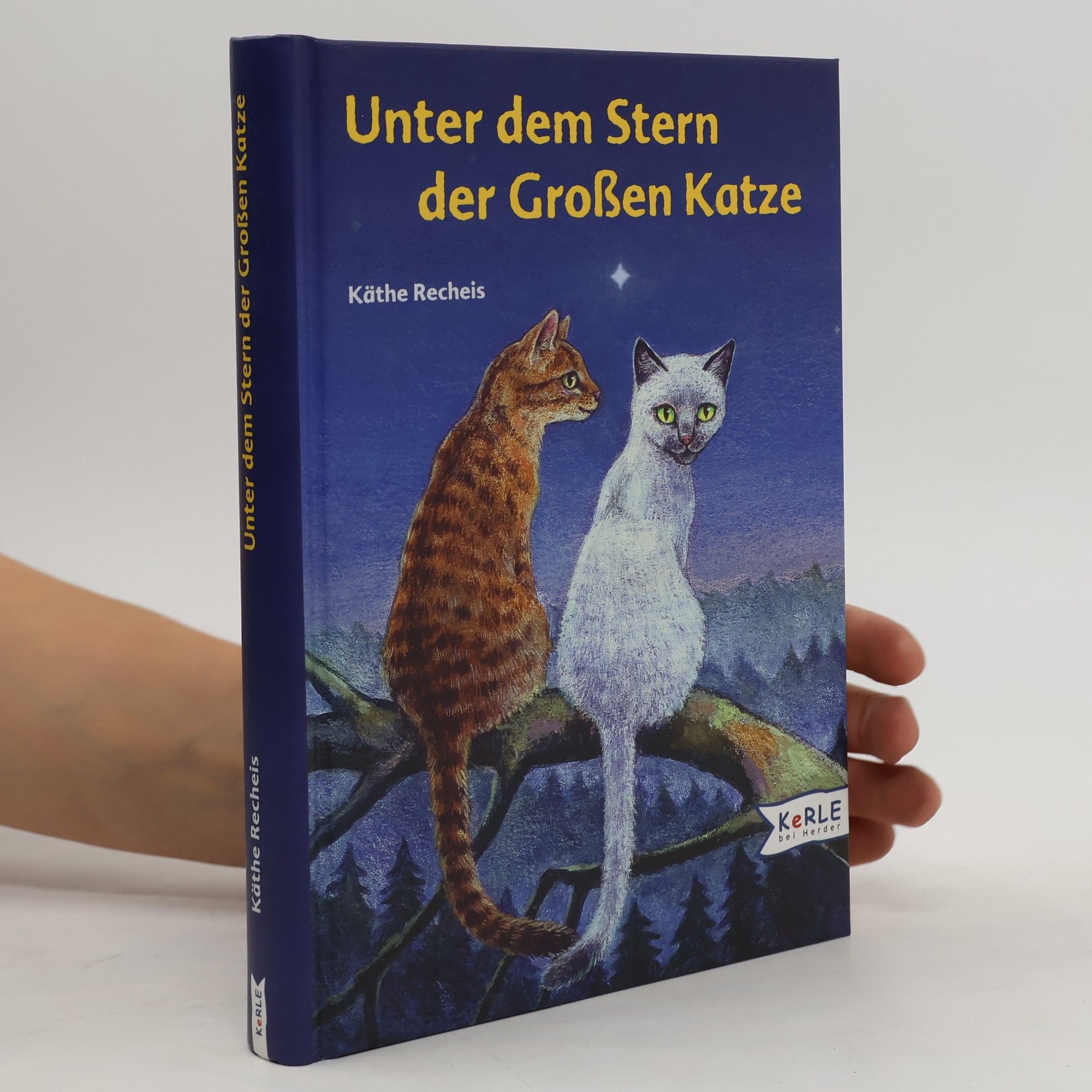 Käthe Recheis Unter dem Stern der Großen Katze