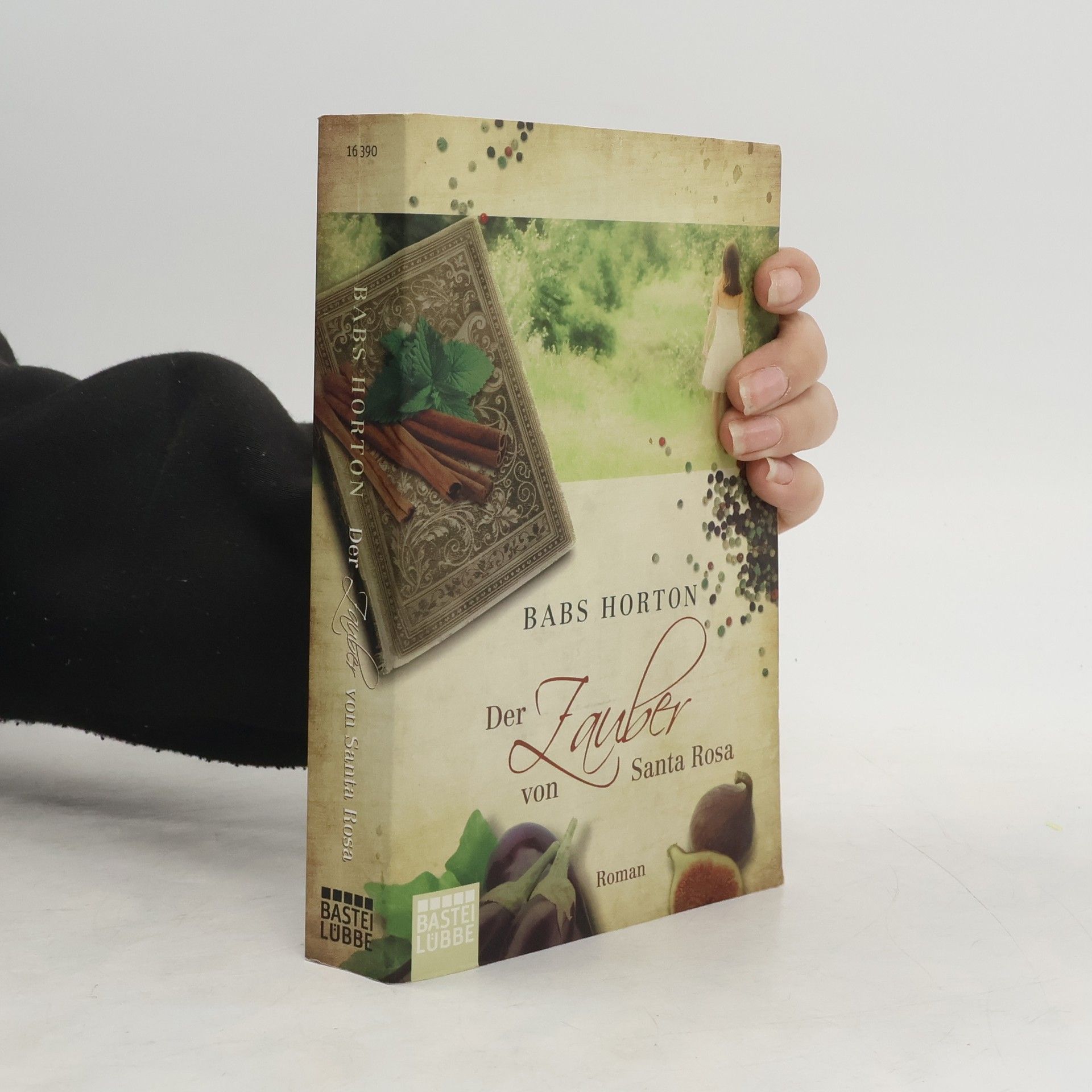 Der Zauber von Santa Rosa