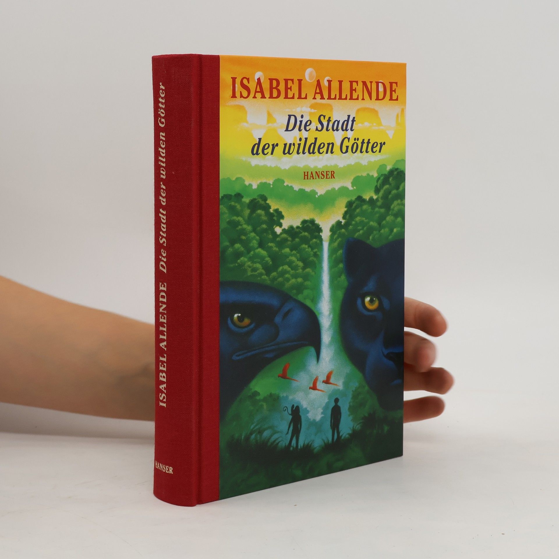 Isabel Allende Die Stadt der wilden Götter