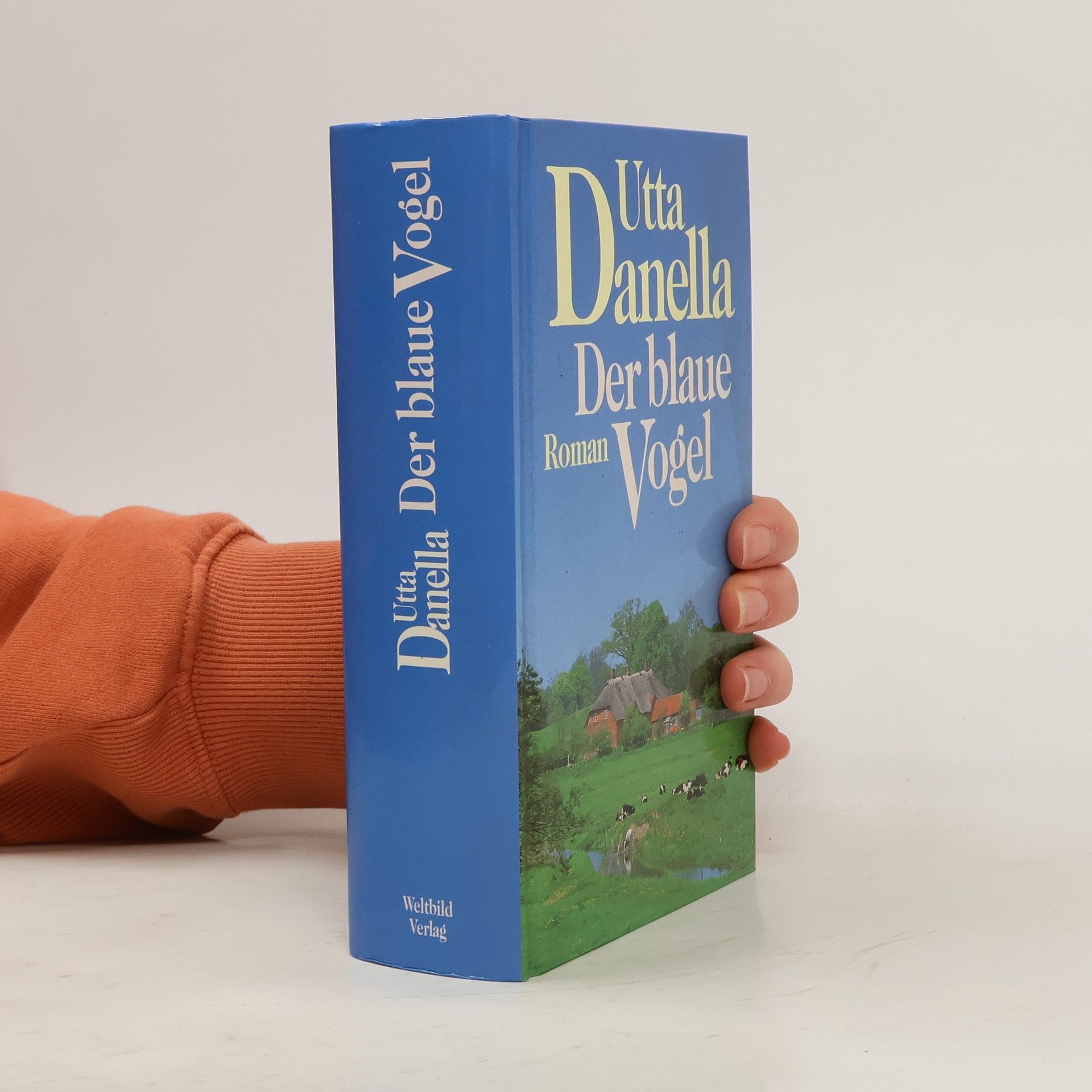 Utta Danella Die Jungfrau im Lavendel