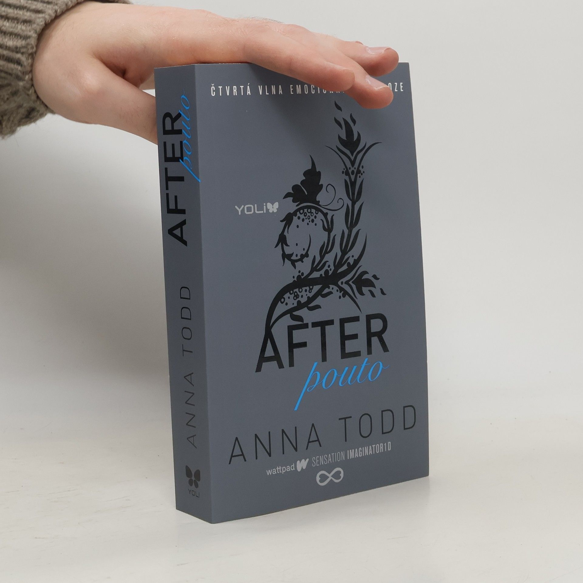 Anna Todd After. Pouto