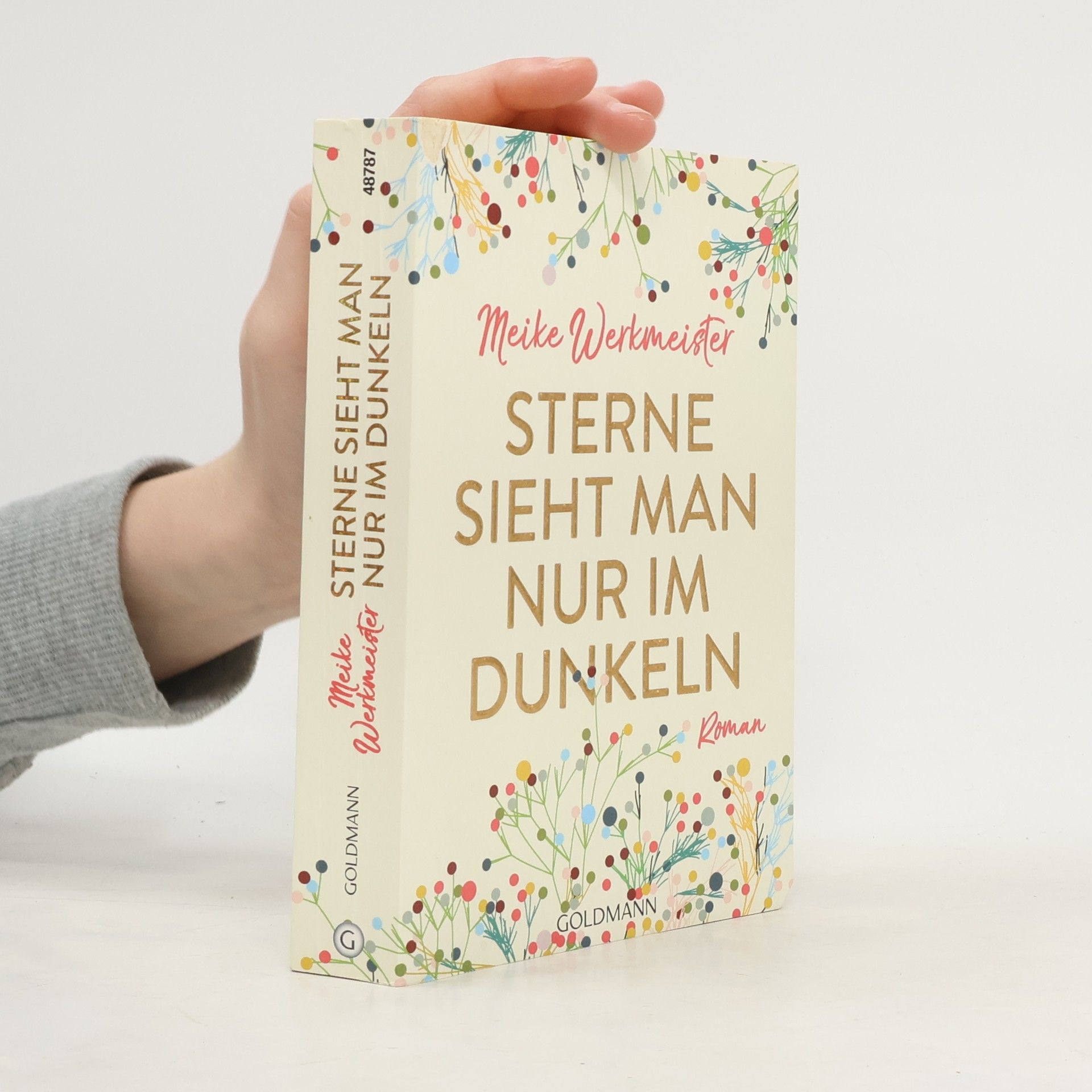 Meike Werkmeister Sterne sieht man nur im Dunkeln