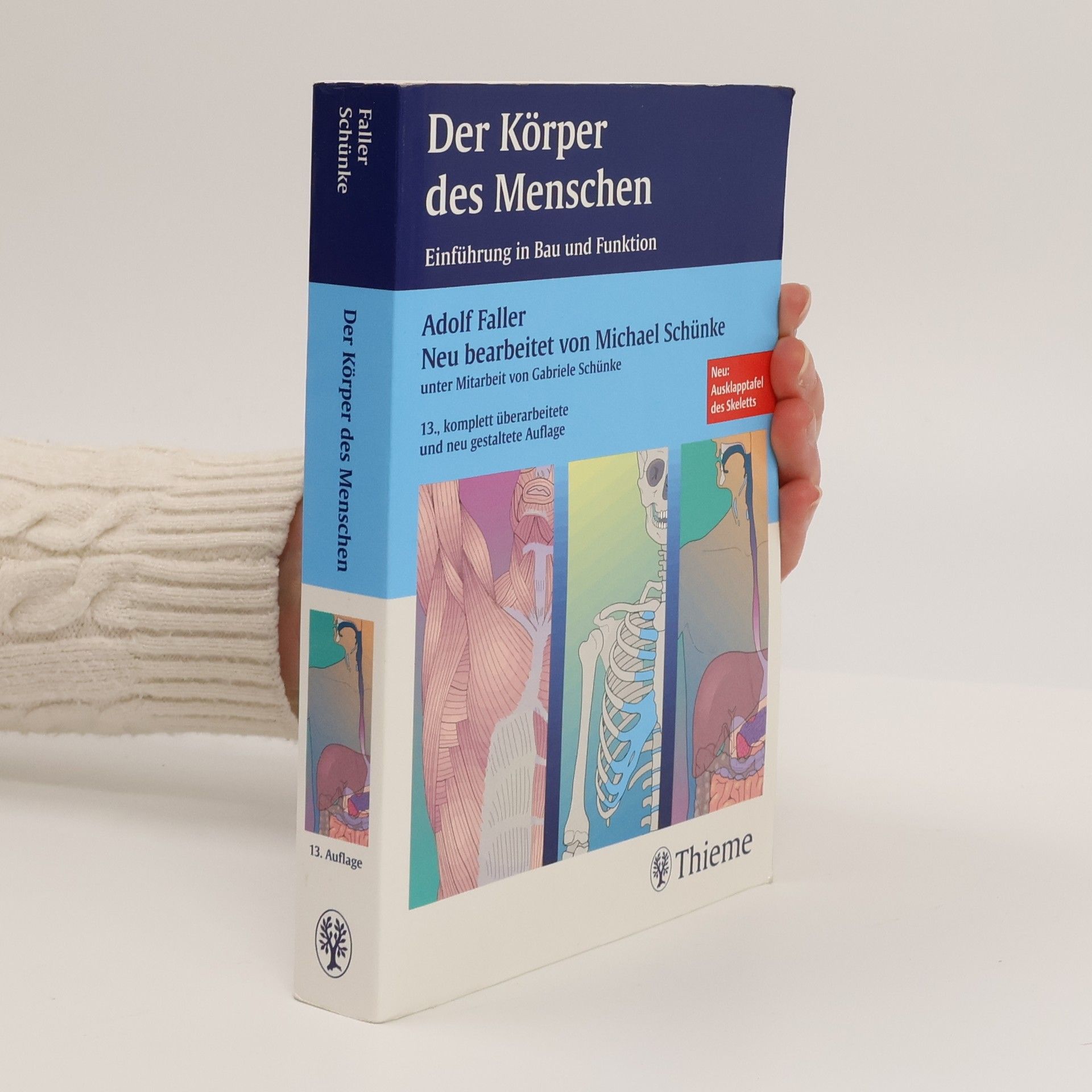 Collectif d'auteurs Der Körper des Menschen : Einführung in Bau und Funktion