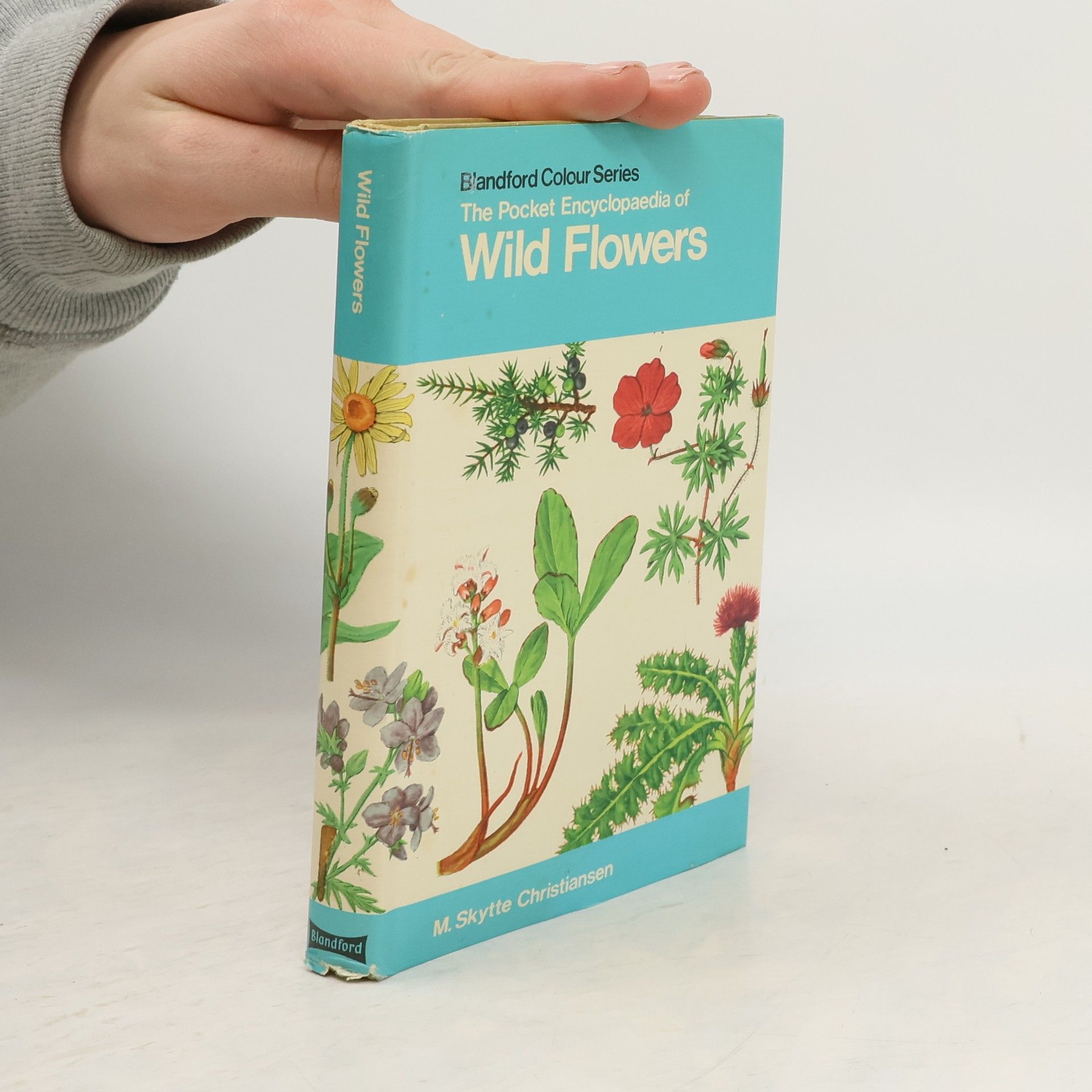 Blandford Colour Series: The Pocket Encyclopedia of Wild Flowers