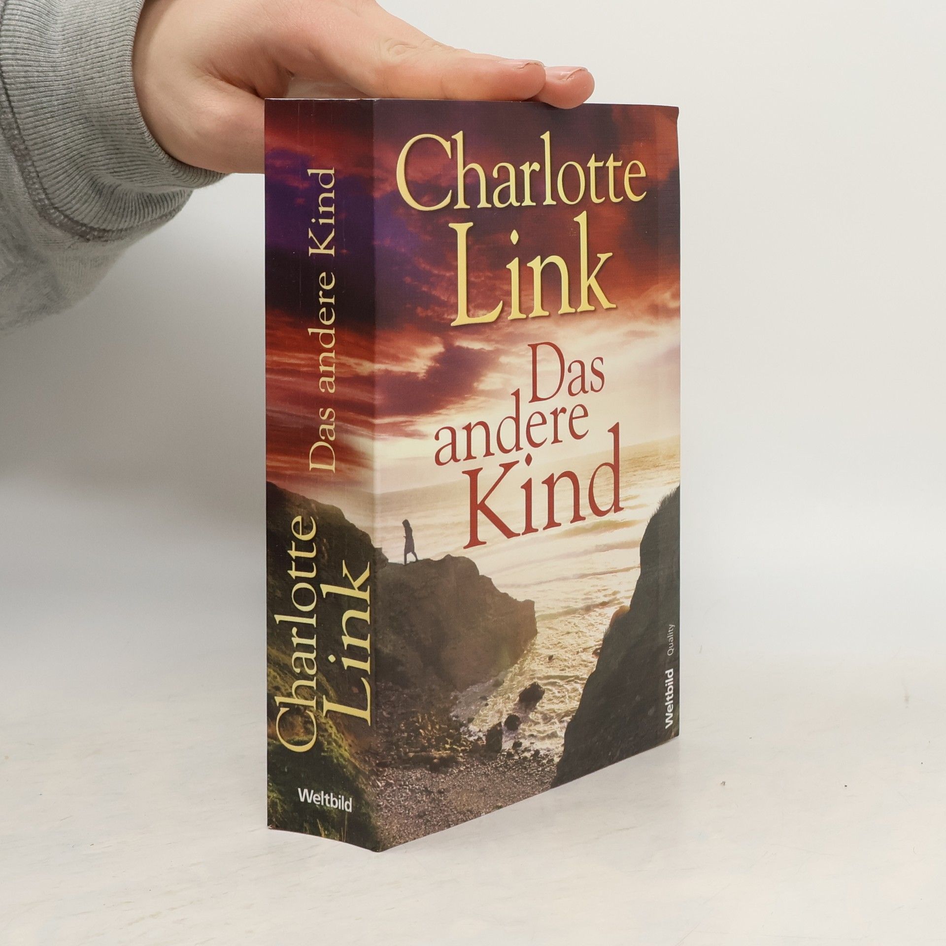 Charlotte Link Das andere Kind
