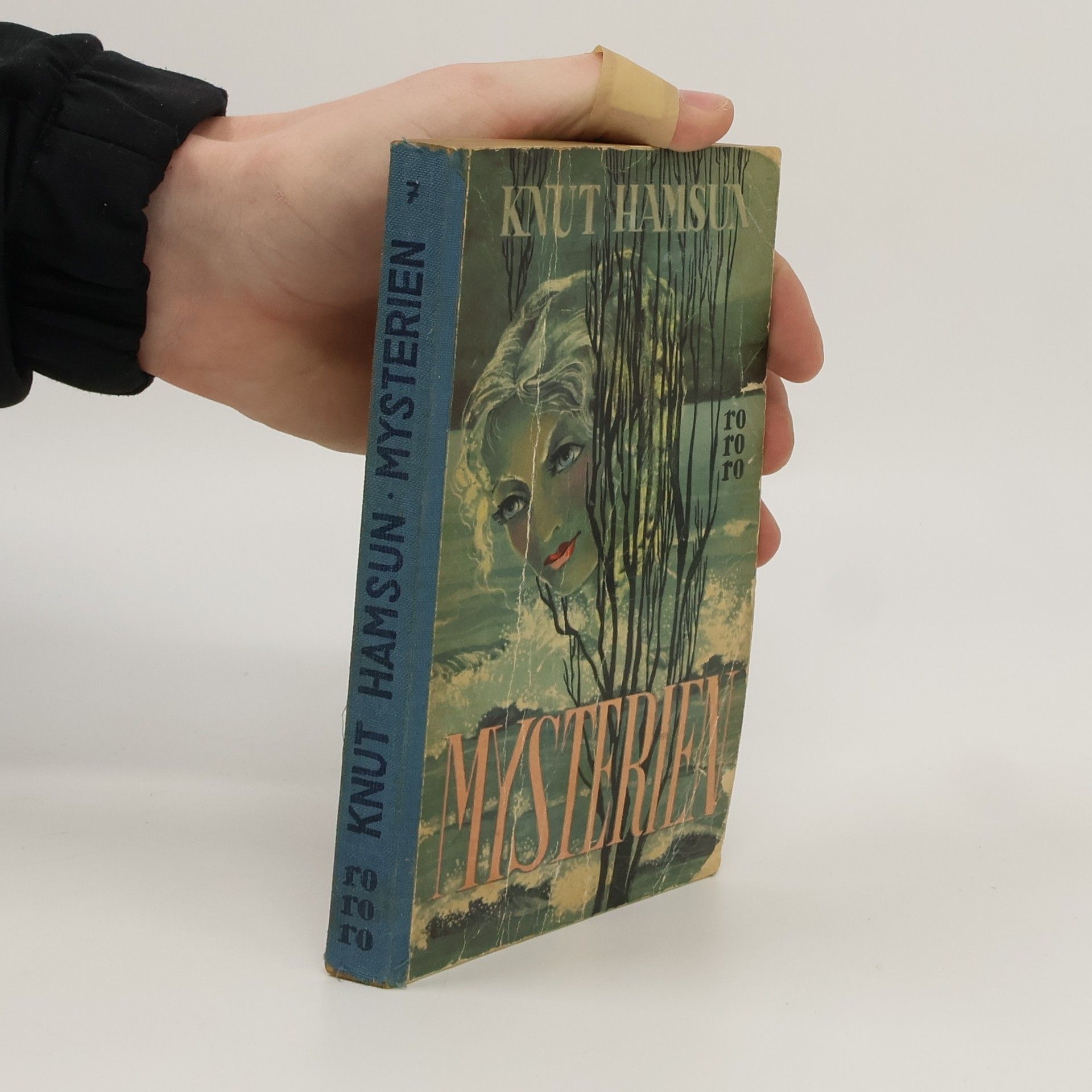 Knut Hamsun Mysterien