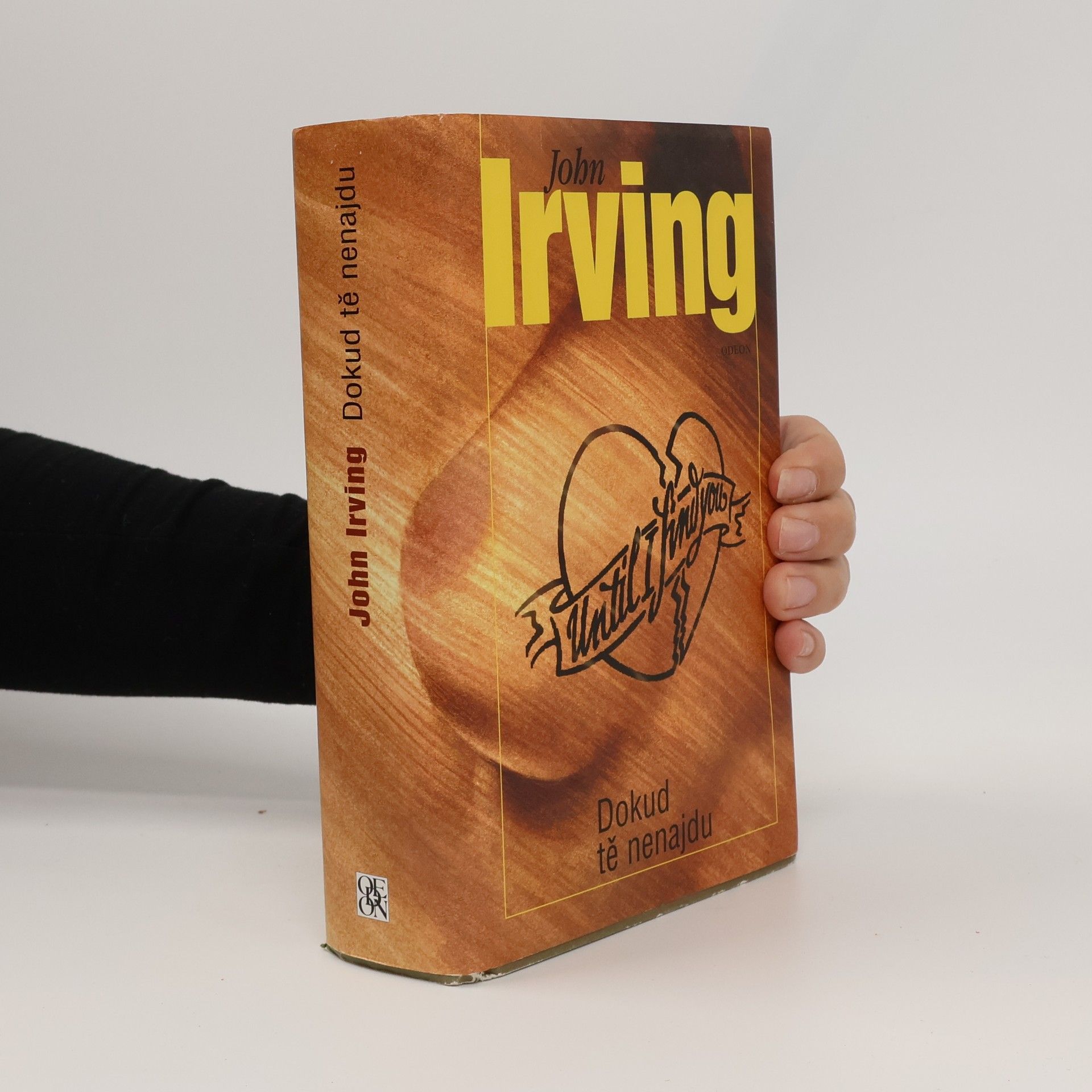 John Irving Dokud tě nenajdu