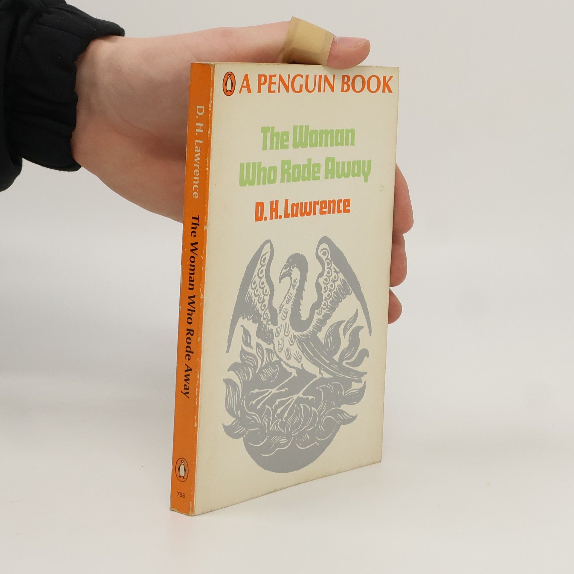 David Herbert Lawrence The Woman who Rode Away and Other Stories