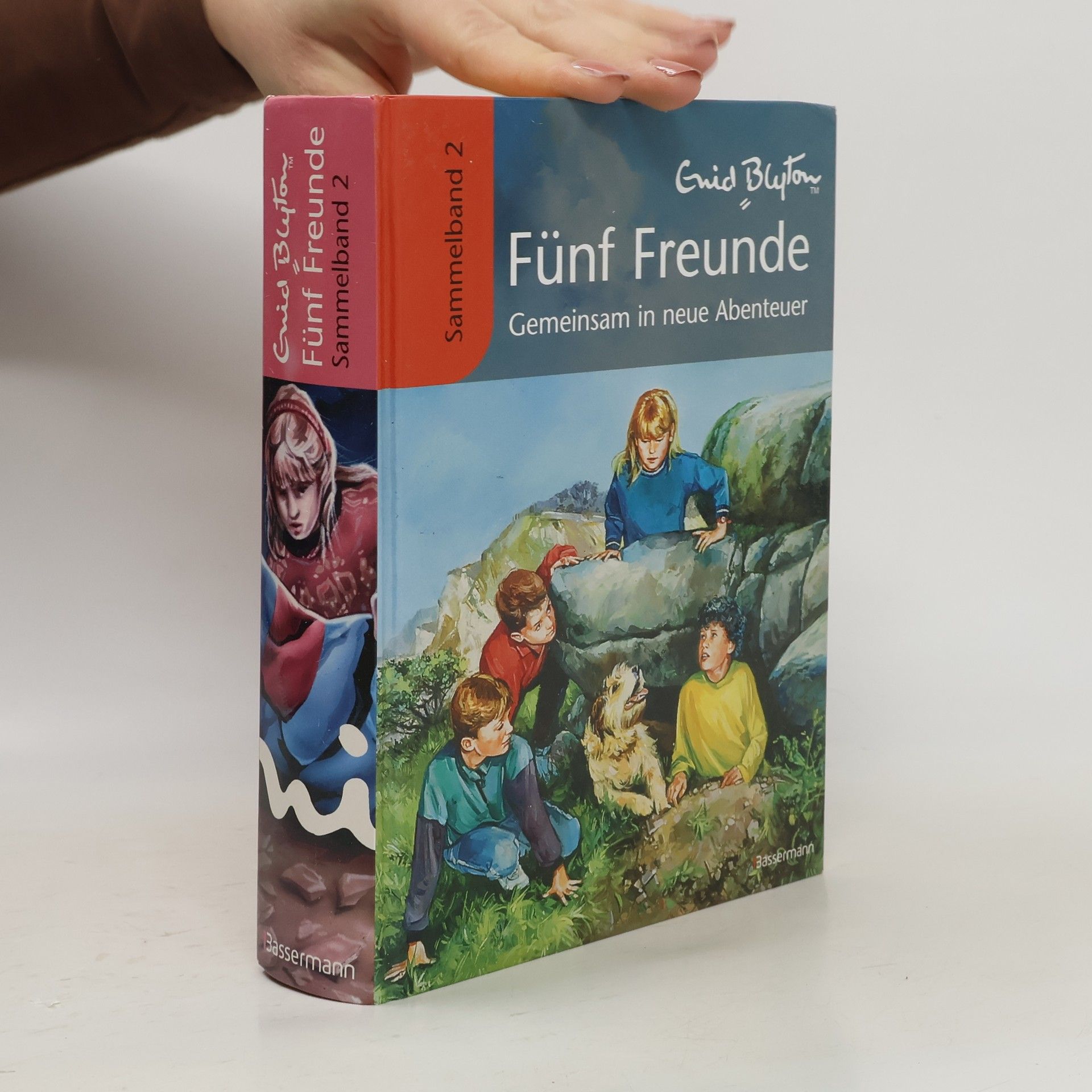 Werner Lincke Fünf Freunde