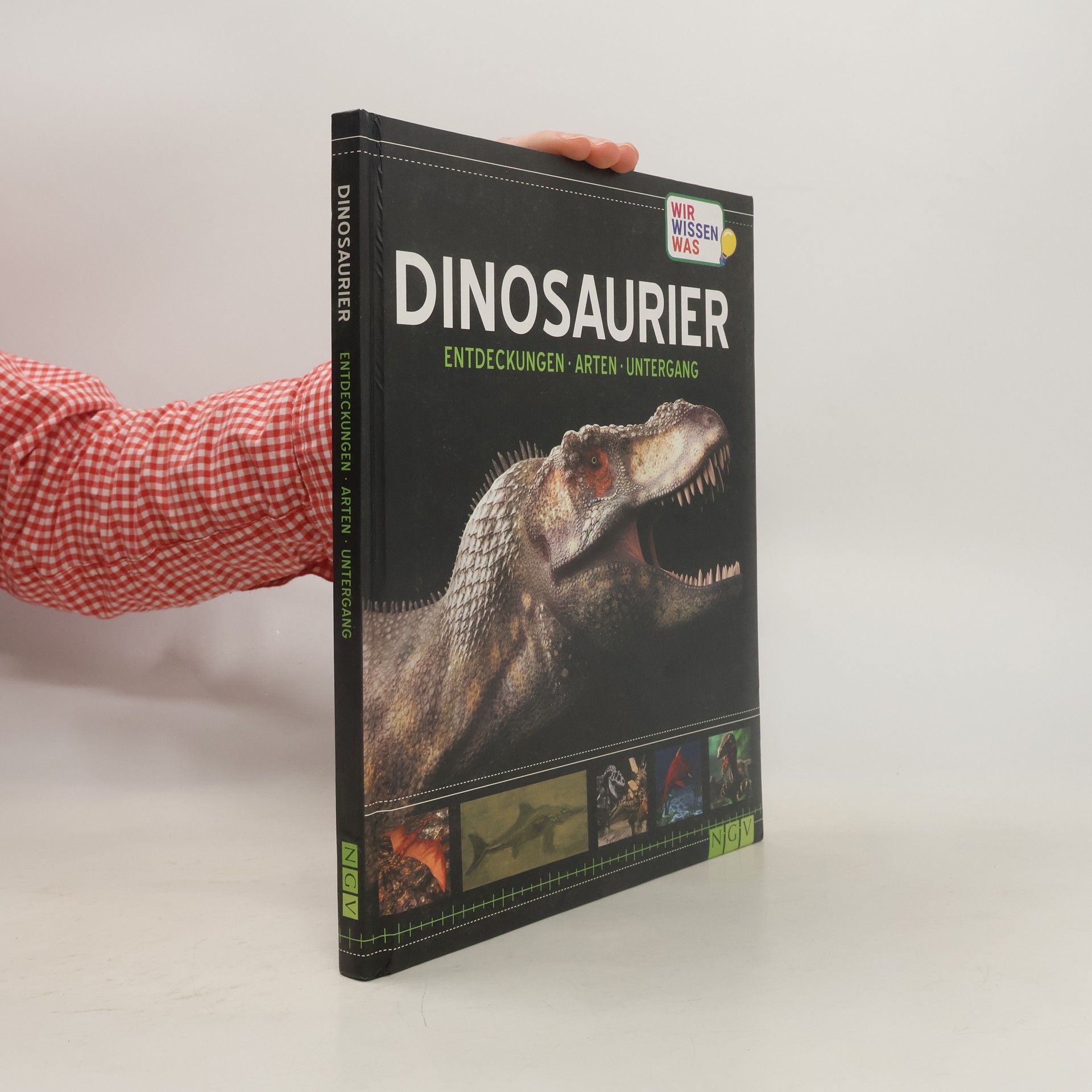 Kolektiv autorů Dinosaurier