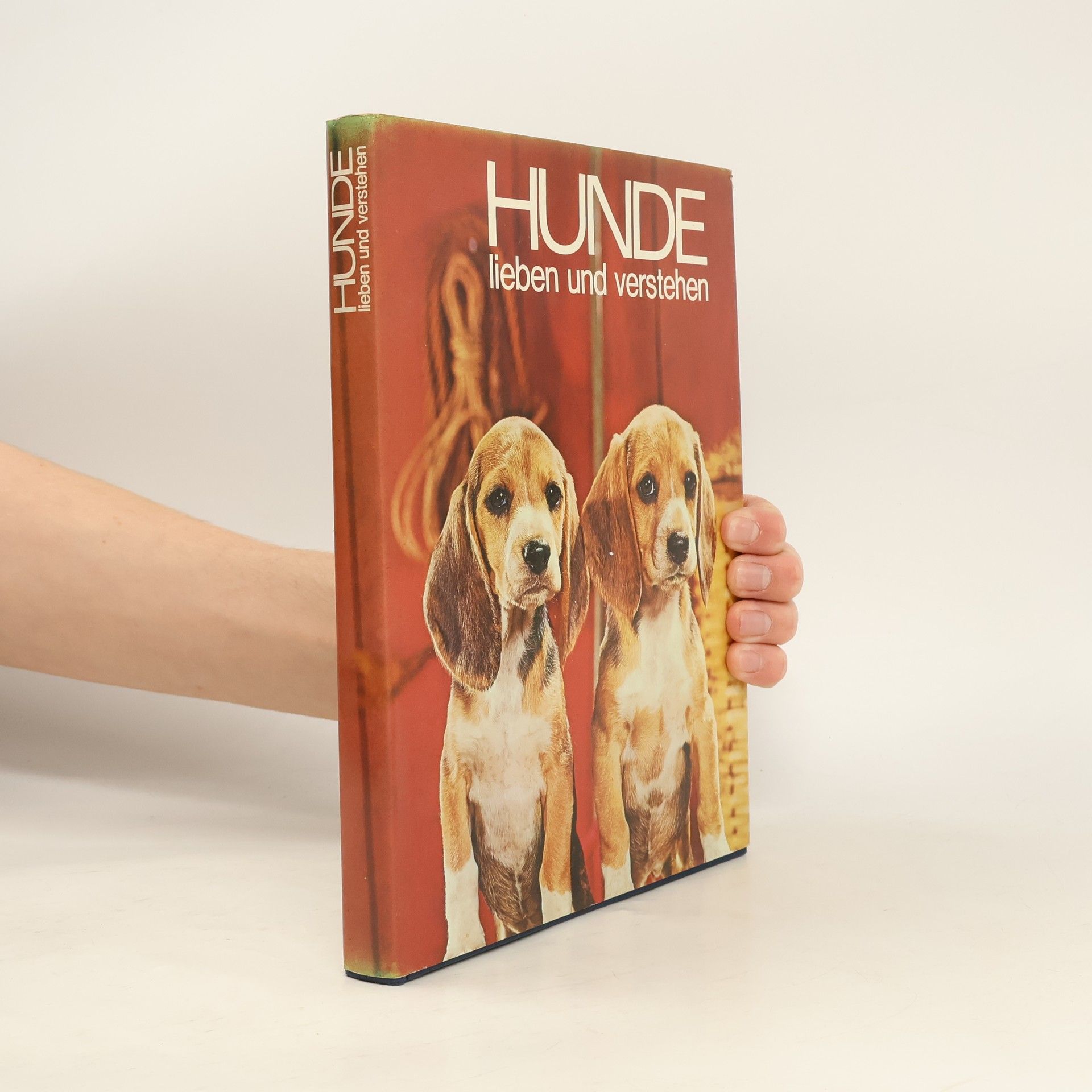 Autores varios Hunde lieben und verstehen