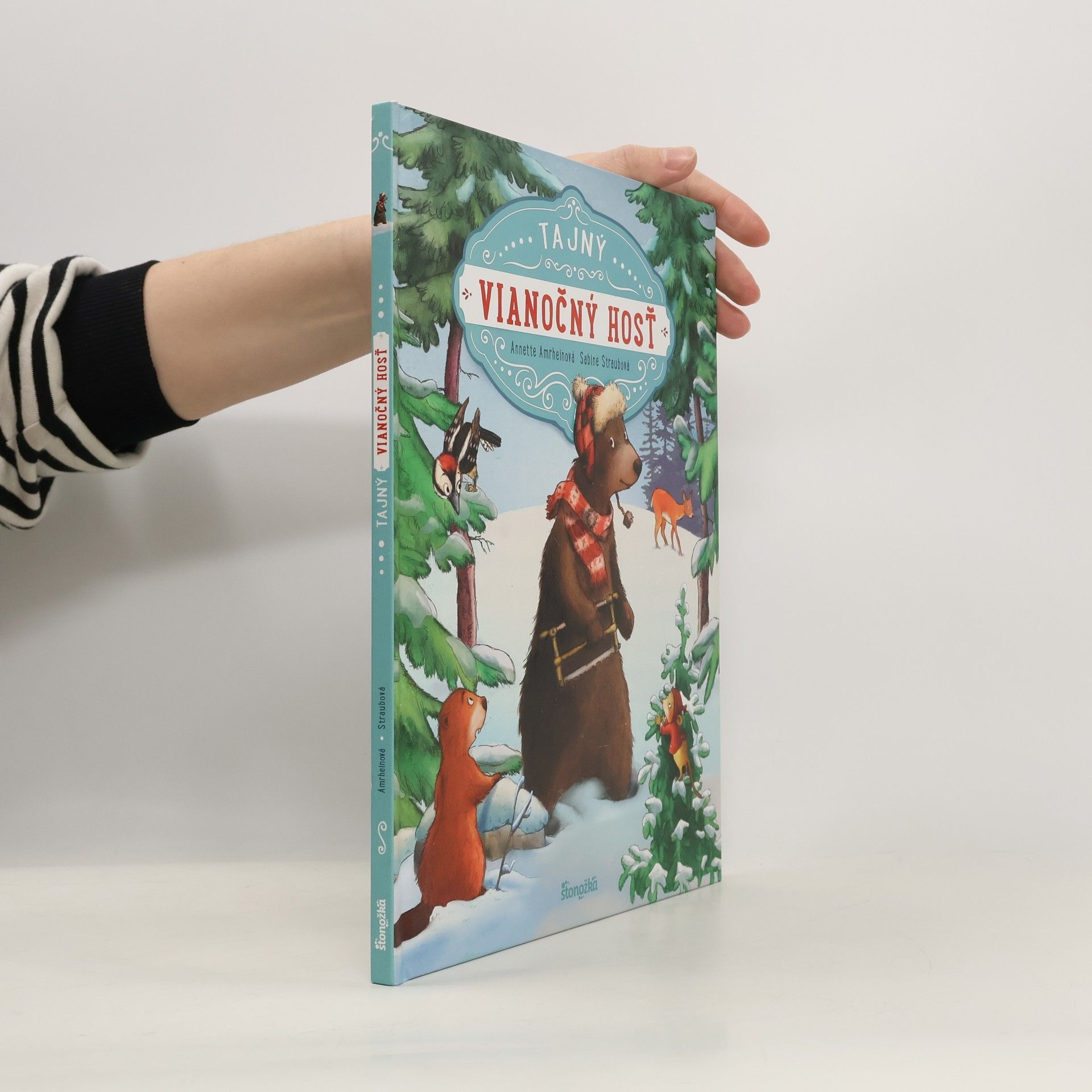 Annette Amrhein Tajný vianočný hosť