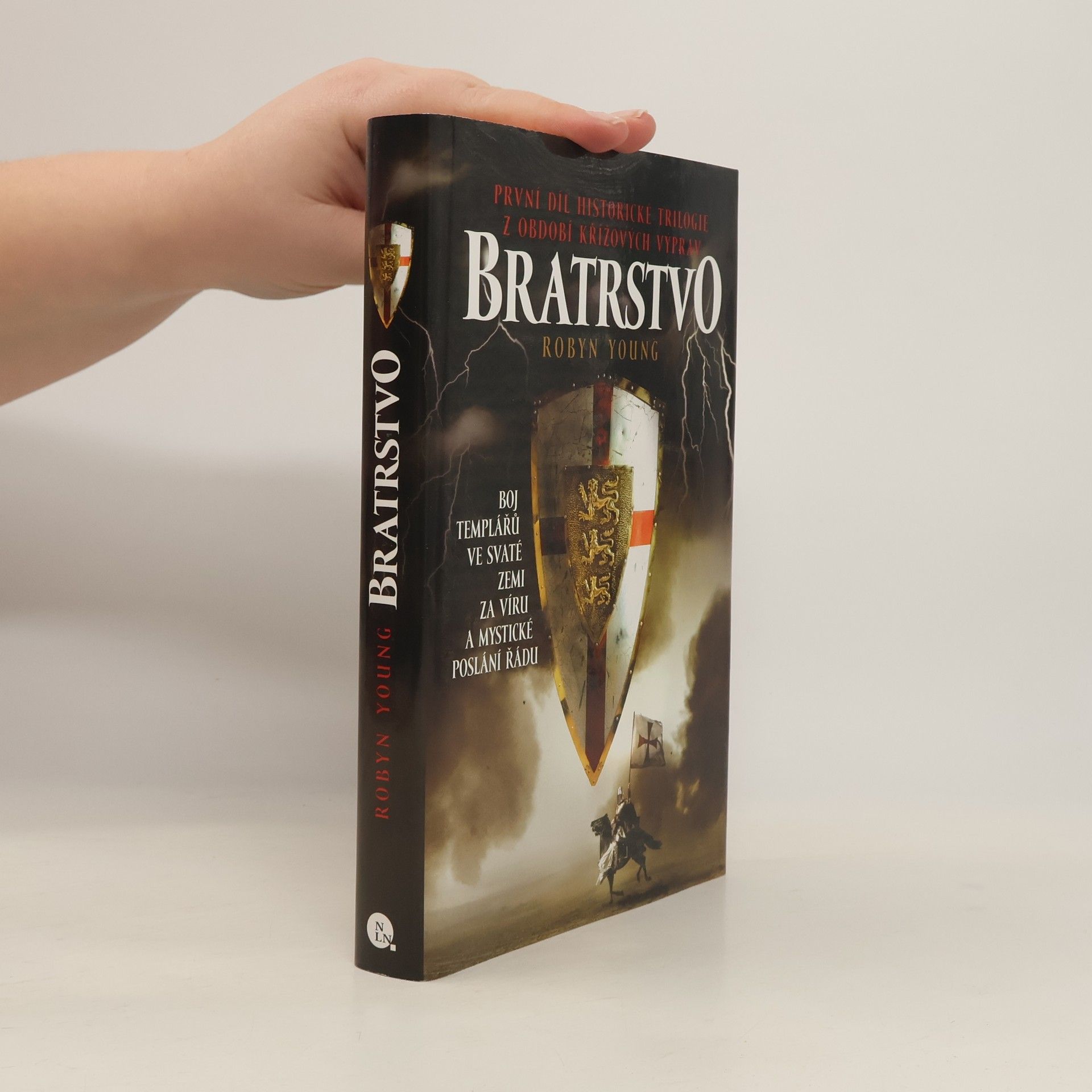 Robyn Young Bratrstvo