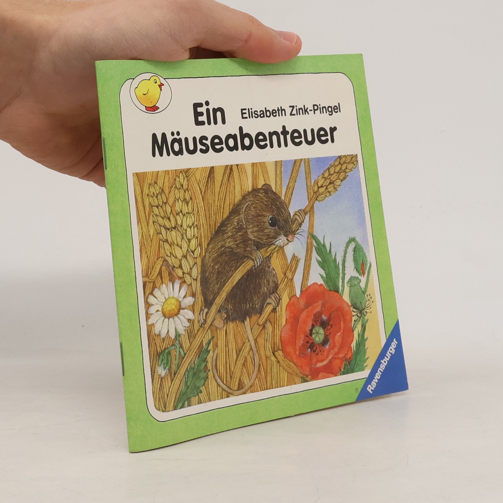 Anu Stohner Ein Mäuseabenteuer