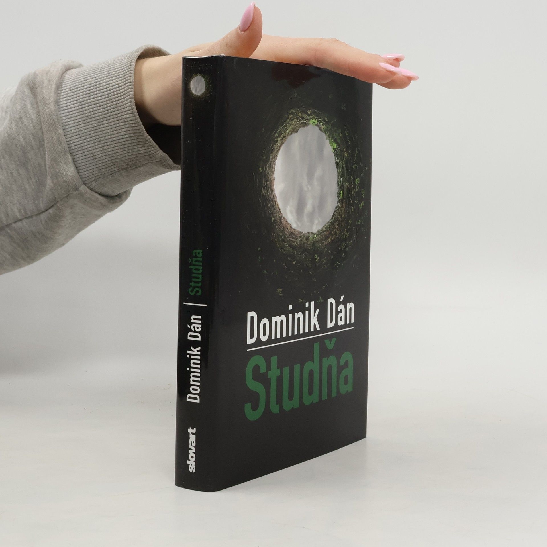 Dominik Dán Studňa