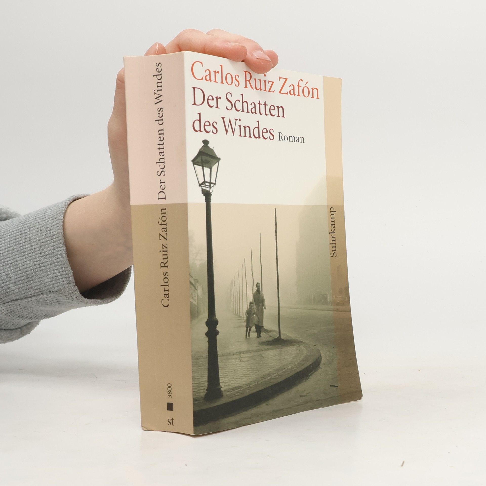 Carlos Ruiz Zafón Der Schatten des Windes