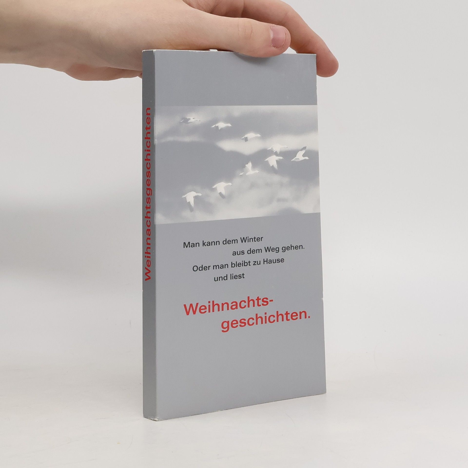 Ursula Richter Weihnachtsgeschichten