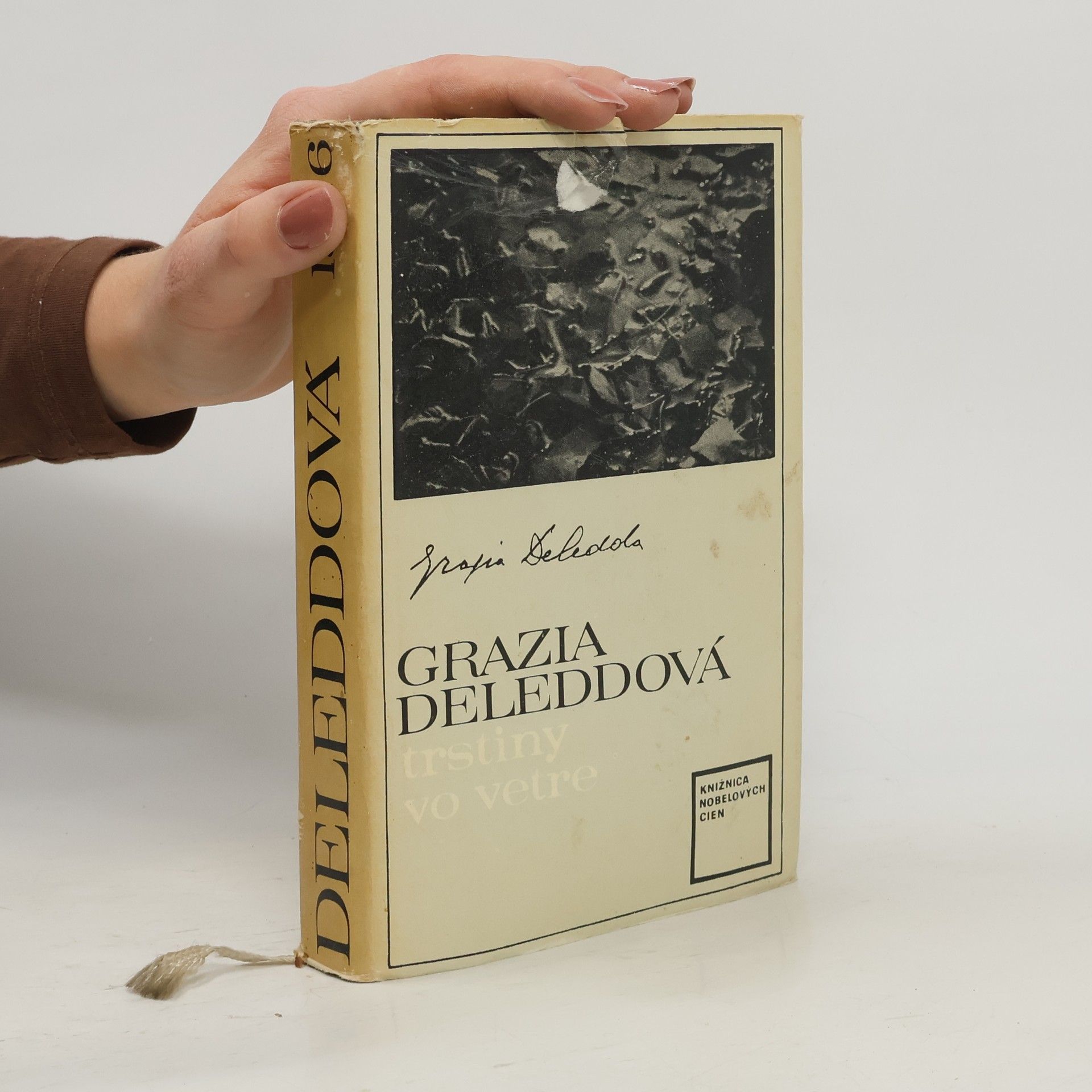 Grazia Deledda Trstiny vo vetre