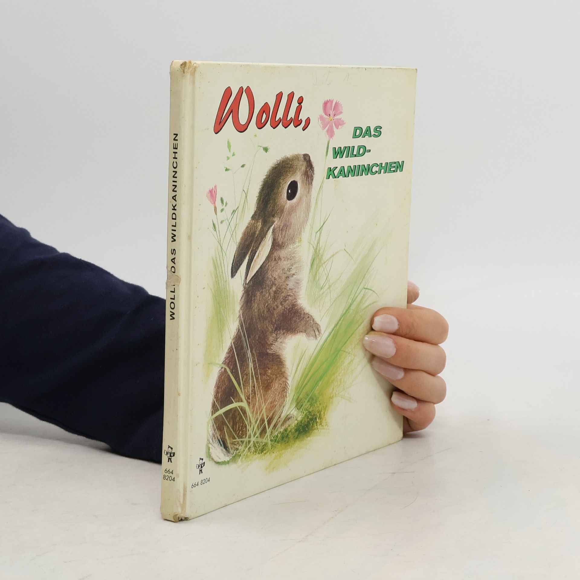 Wolli, das Wildkaninchen